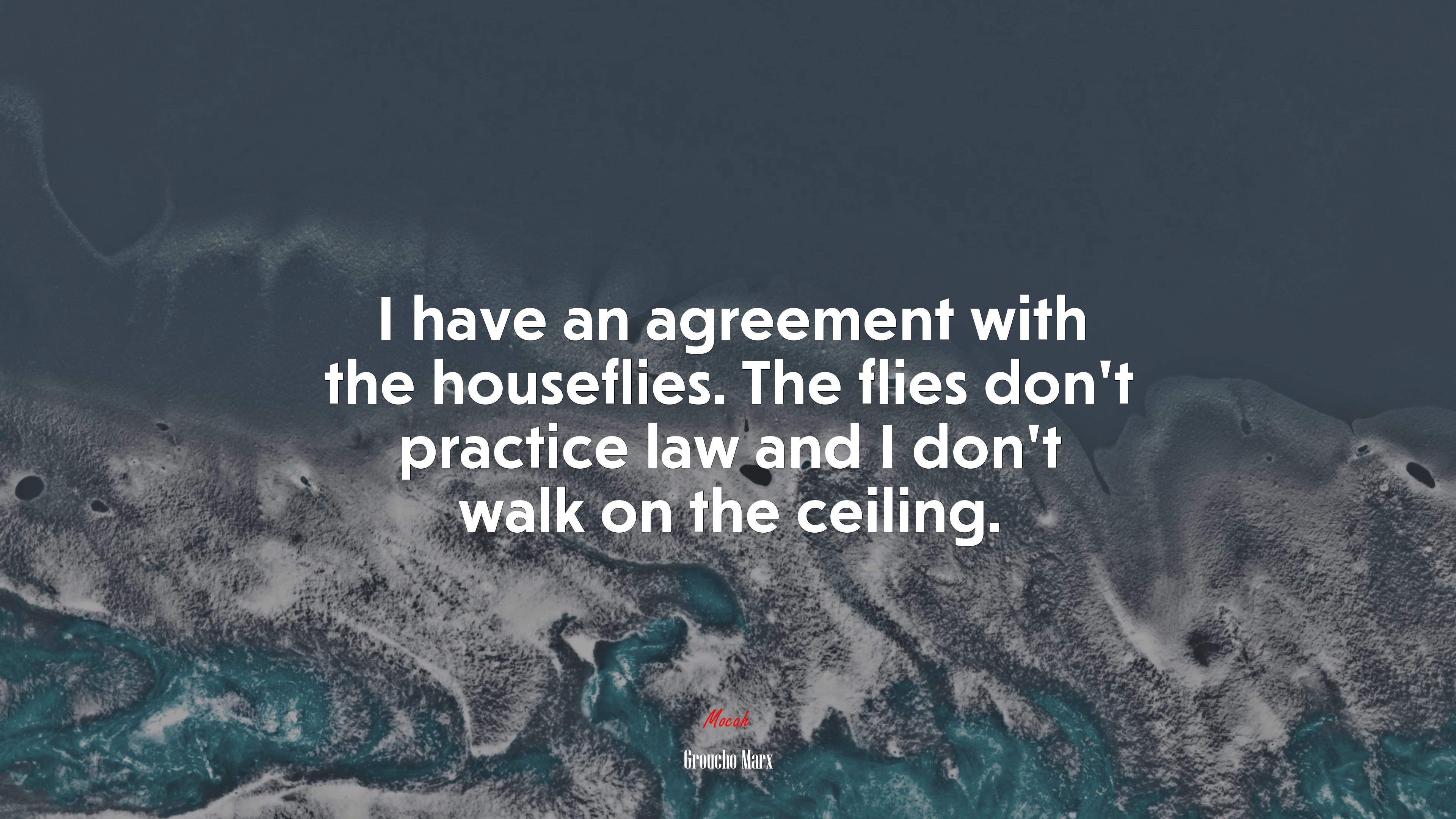 I have an agreement with the houseflies. The flies don’t practice law and I don’t walk on the ceiling. | Groucho Marx quote HD Wallpaper