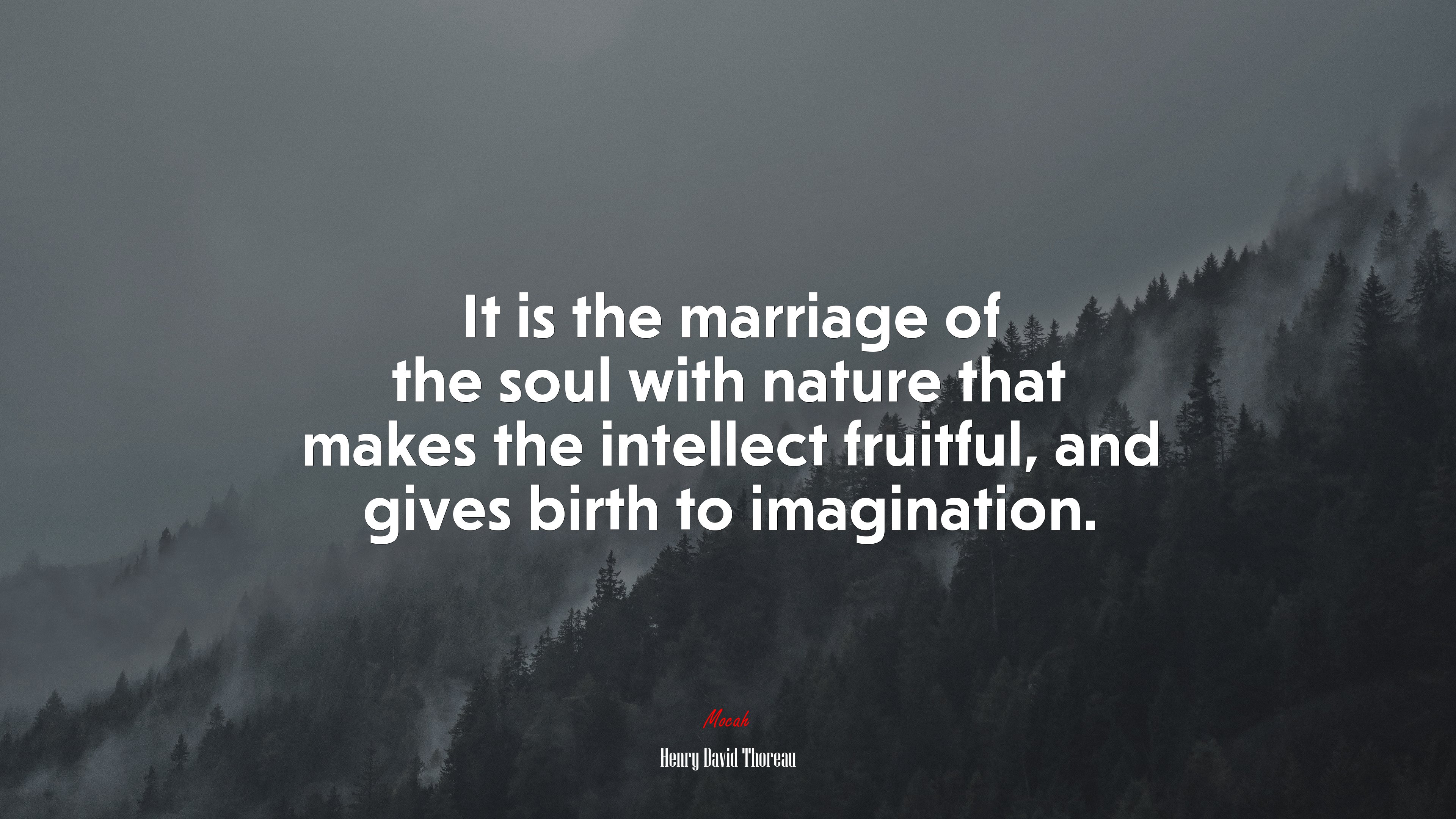 It is the marriage of the soul with nature that makes the intellect fruitful, and gives birth to imagination. | Henry David Thoreau quote HD Wallpaper