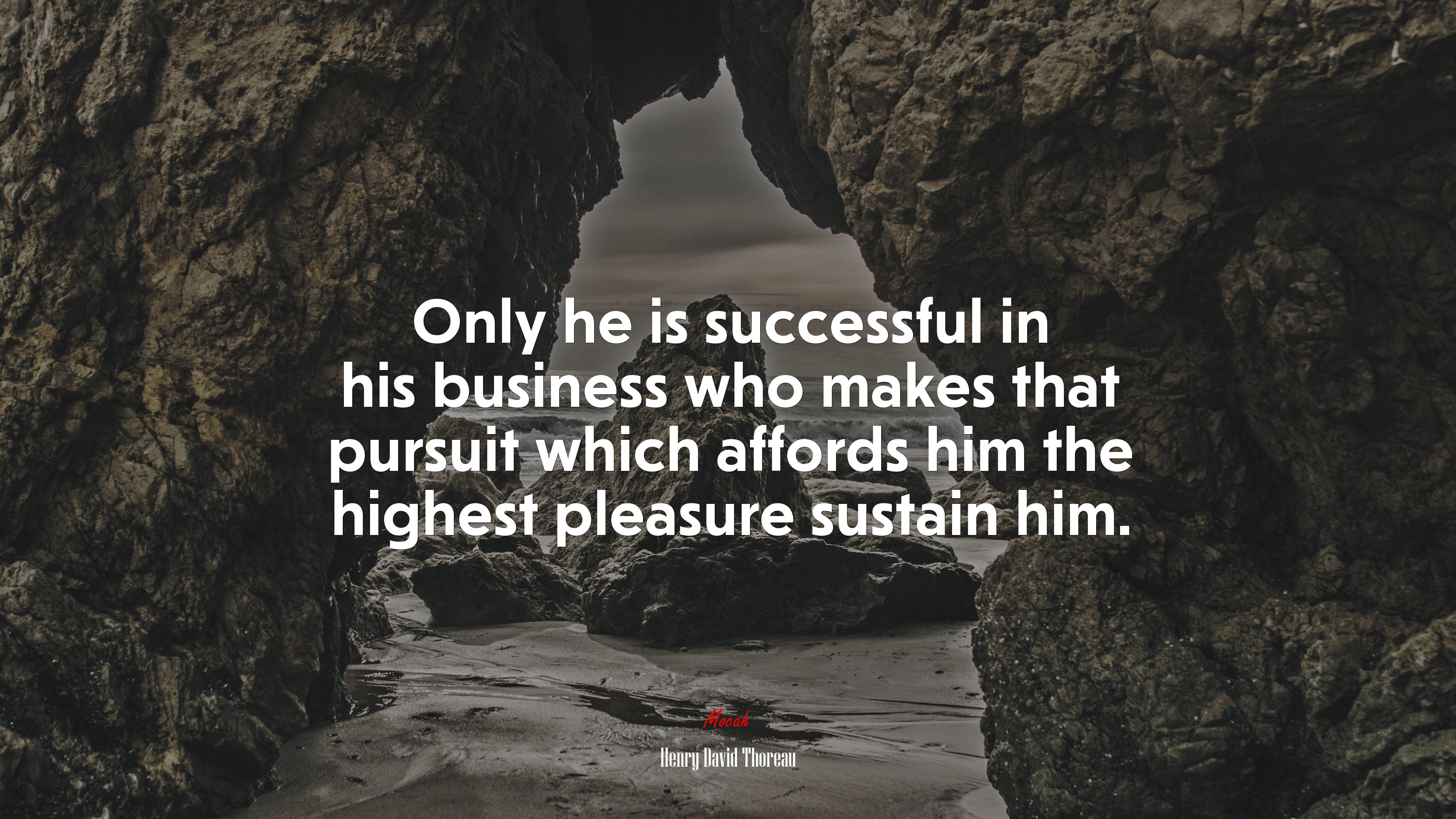 Only he is successful in his business who makes that pursuit which affords him the highest pleasure sustain him. | Henry David Thoreau quote HD Wallpaper