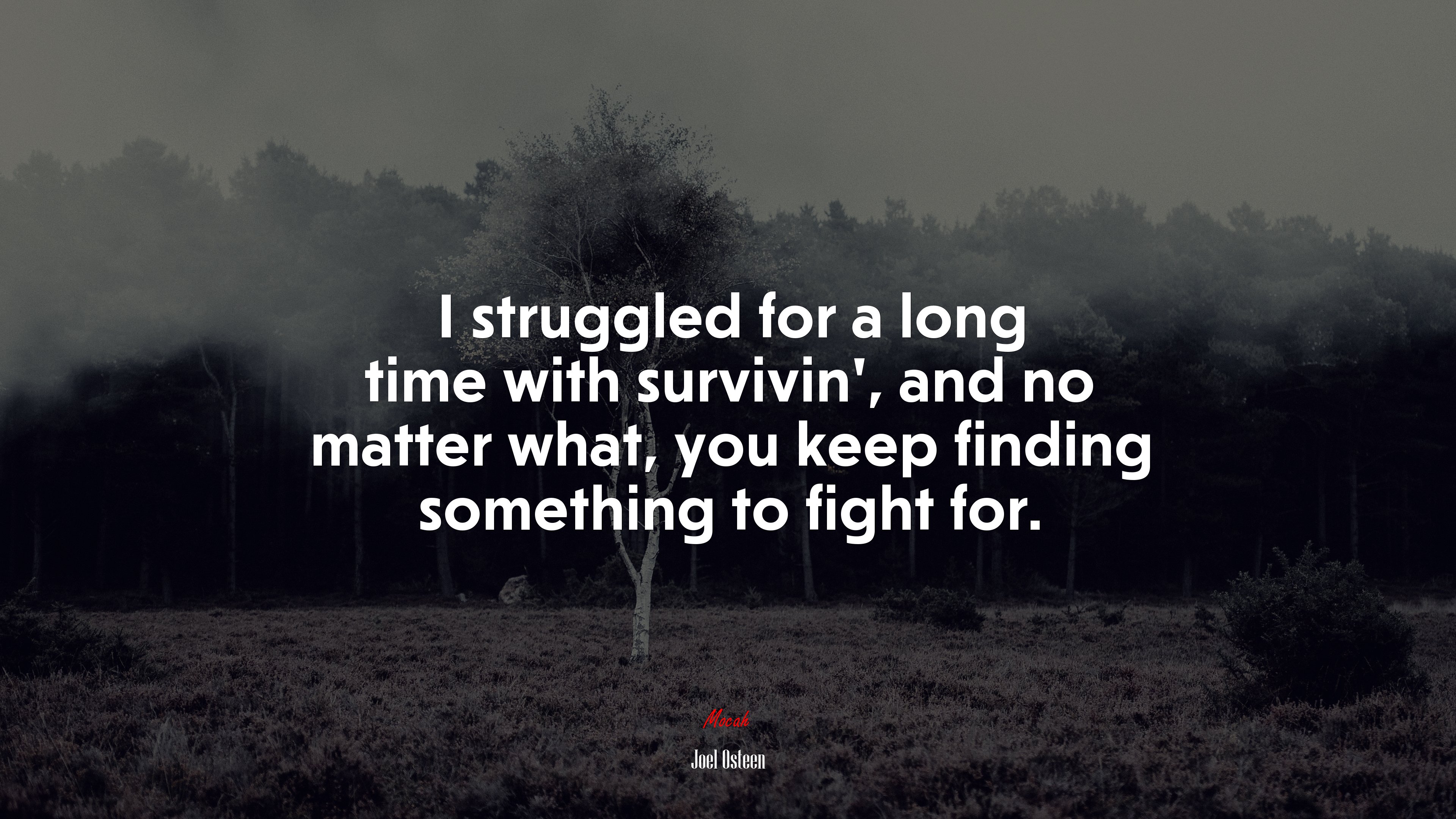 I struggled for a long time with survivin’, and no matter what, you keep finding something to fight for. | Joel Osteen quote HD Wallpaper