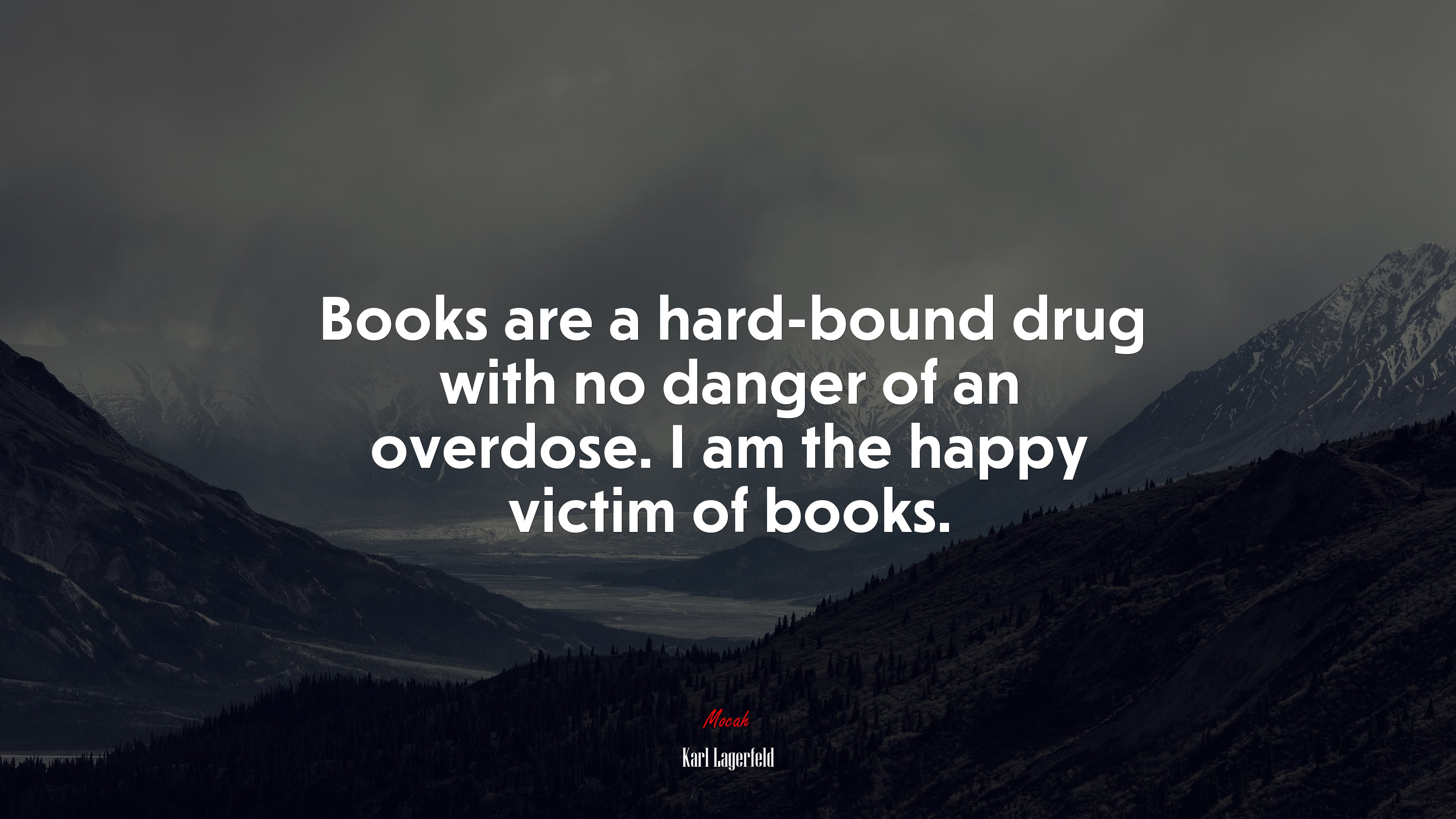 Books are a hard-bound drug with no danger of an overdose. I am the happy victim of books. | Karl Lagerfeld quote HD Wallpaper