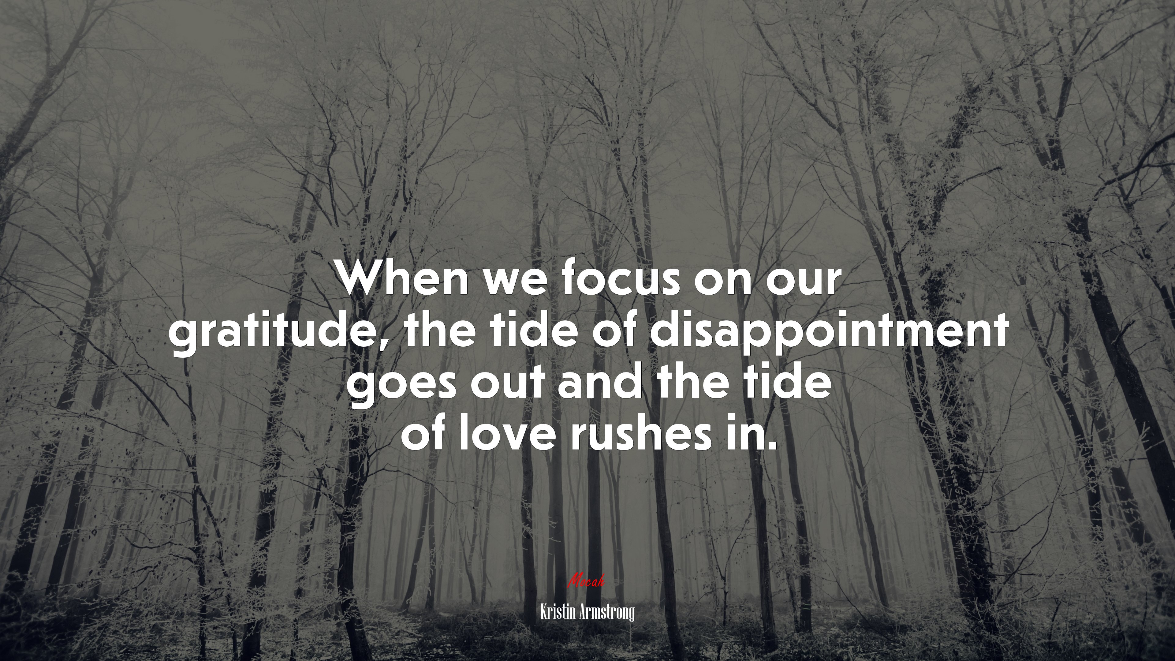 When we focus on our gratitude, the tide of disappointment goes out and the tide of love rushes in. | Kristin Armstrong quote HD Wallpaper