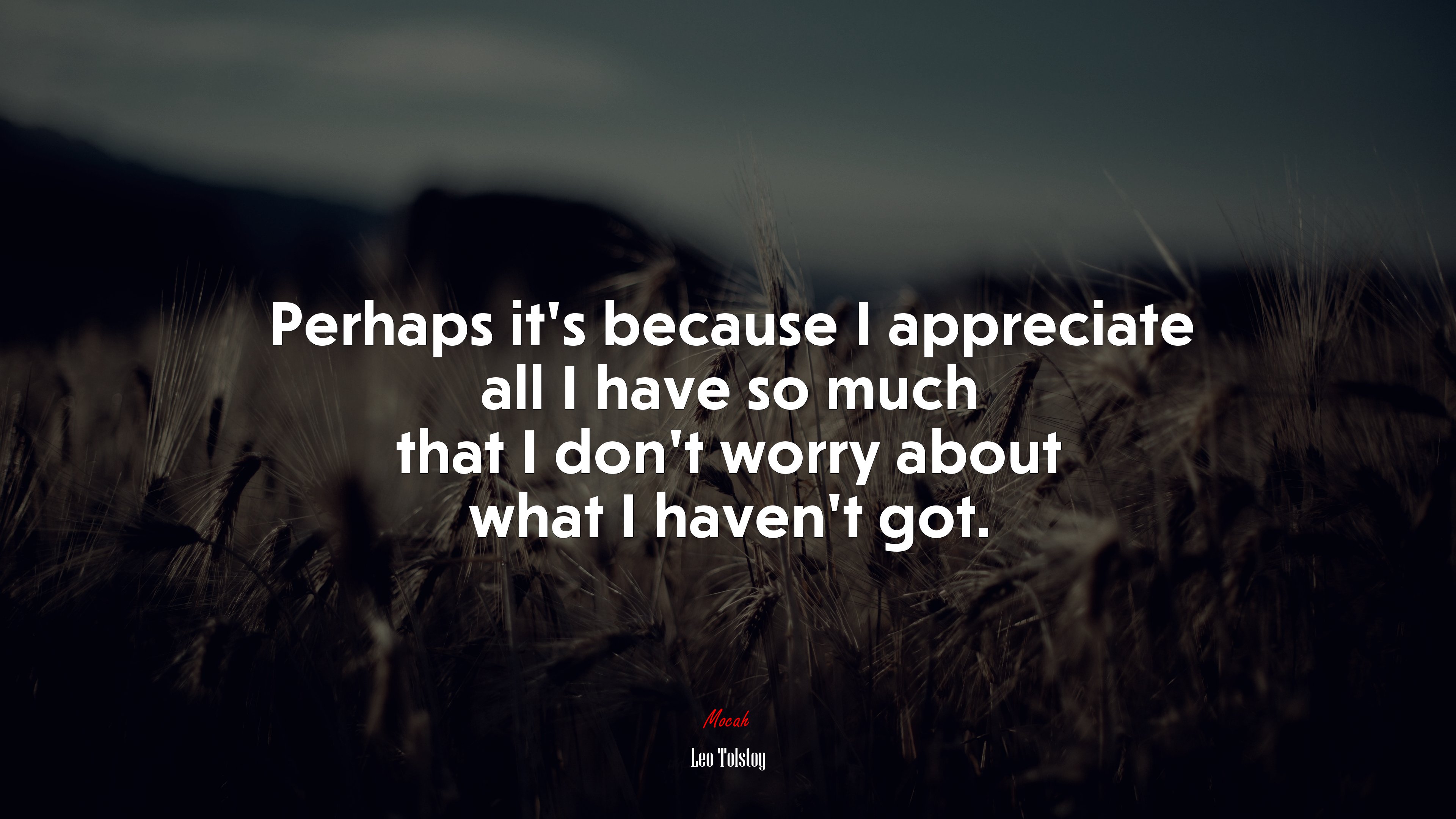 Perhaps it’s because I appreciate all I have so much that I don’t worry about what I haven’t got. | Leo Tolstoy quote HD Wallpaper