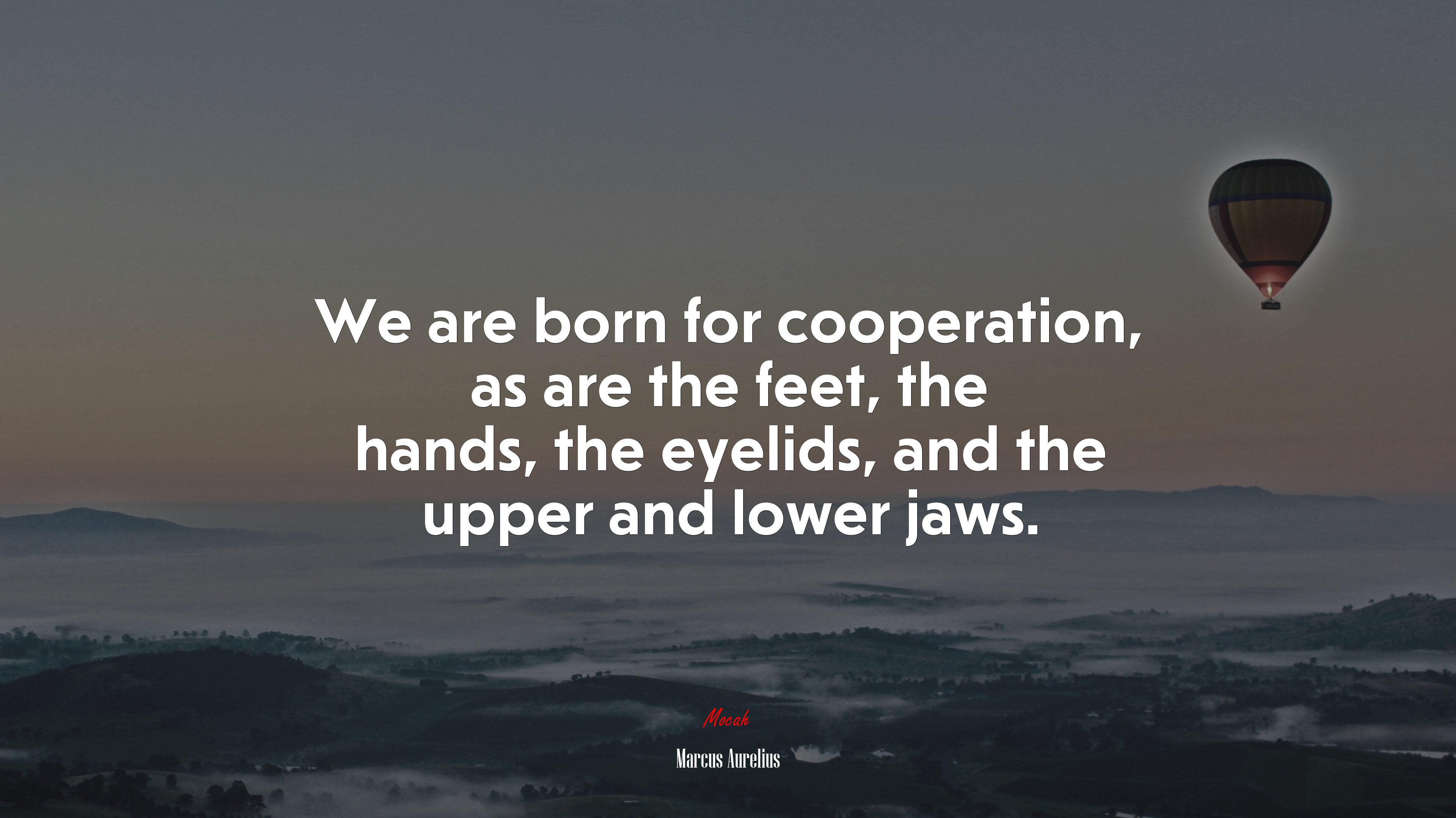 We are born for cooperation, as are the feet, the hands, the eyelids, and the upper and lower jaws. | Marcus Aurelius quote HD Wallpaper