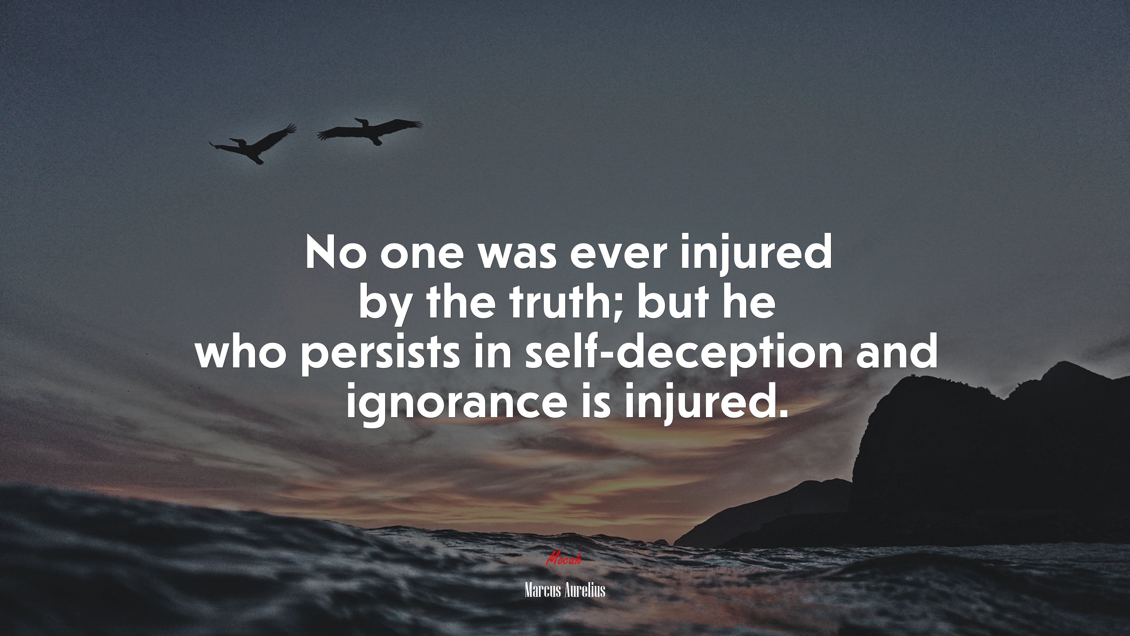 No one was ever injured by the truth; but he who persists in self-deception and ignorance is injured. | Marcus Aurelius quote HD Wallpaper