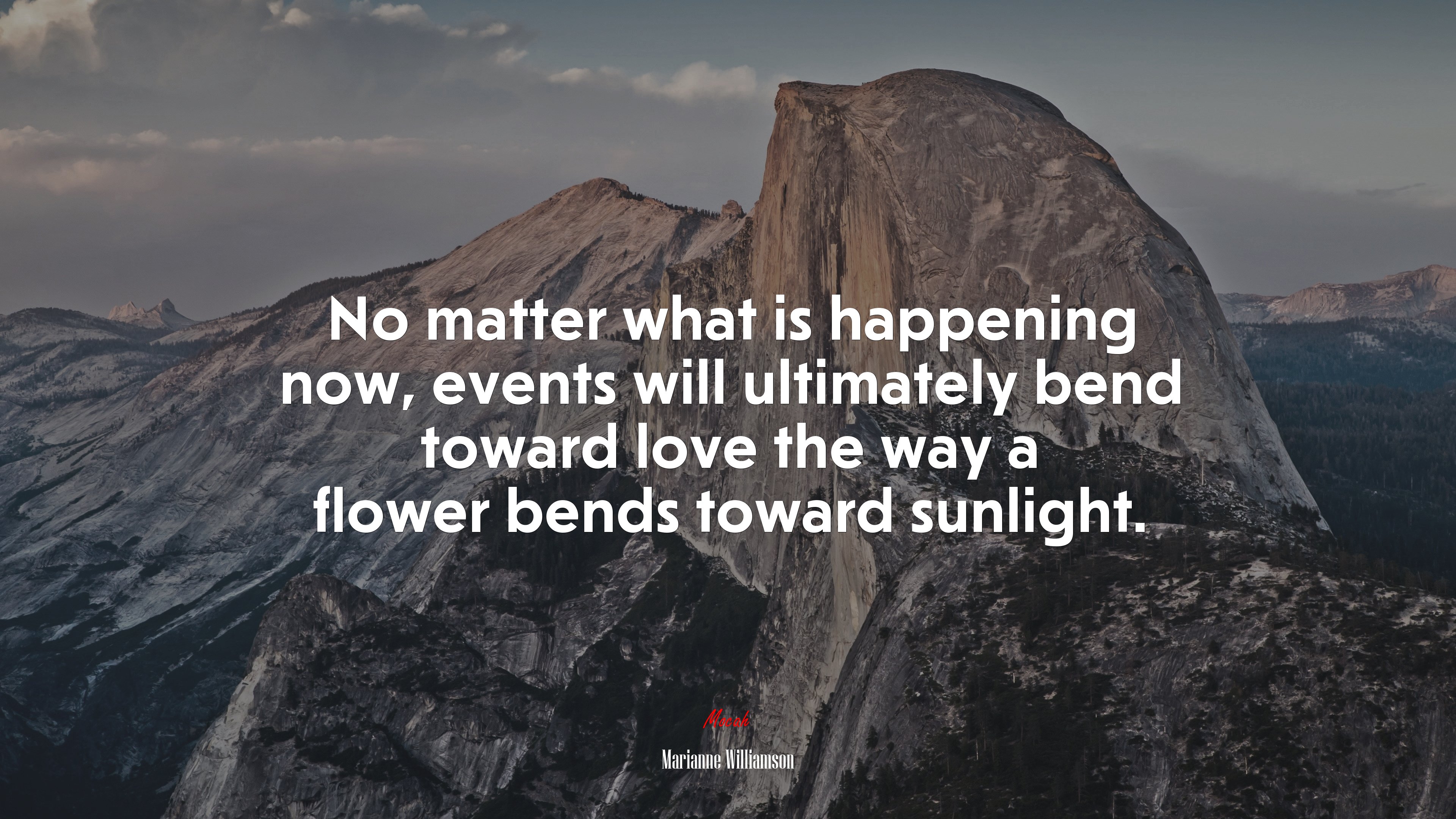 No matter what is happening now, events will ultimately bend toward love the way a flower bends toward sunlight. | Marianne Williamson quote HD Wallpaper
