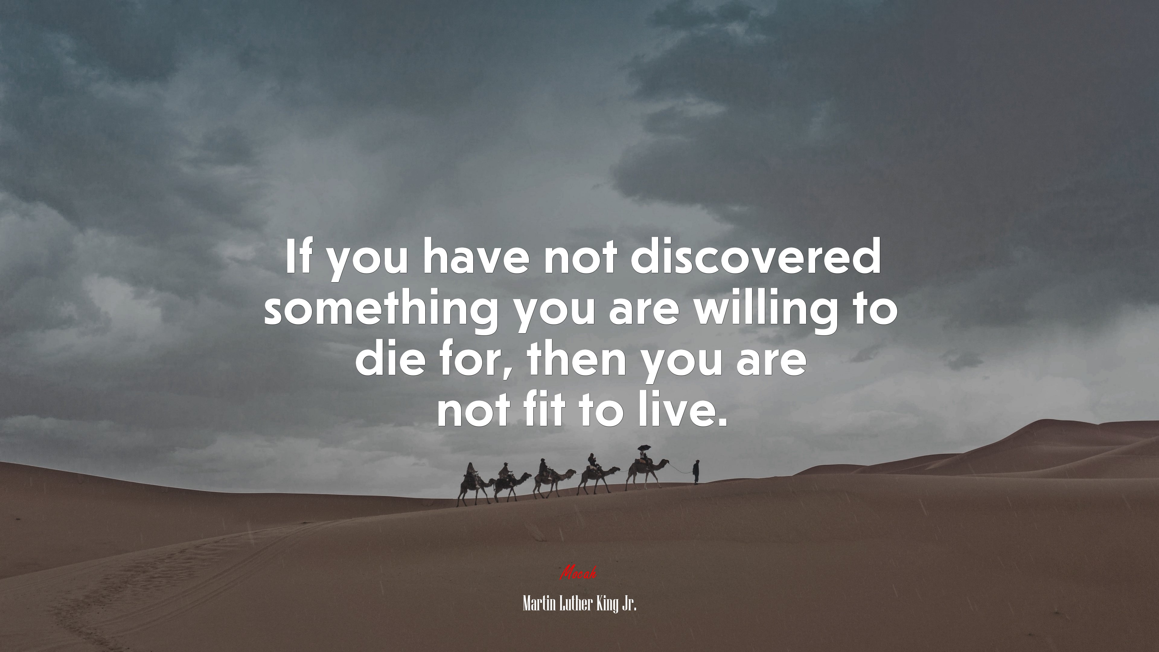 If you have not discovered something you are willing to die for, then you are not fit to live. | Martin Luther King Jr. quote HD Wallpaper