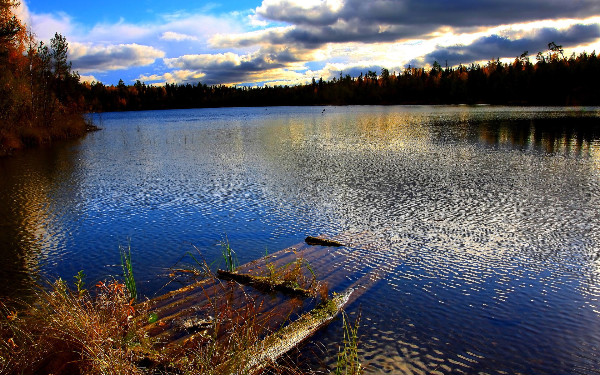 Lake with trees and cloudy sky HD Wallpaper