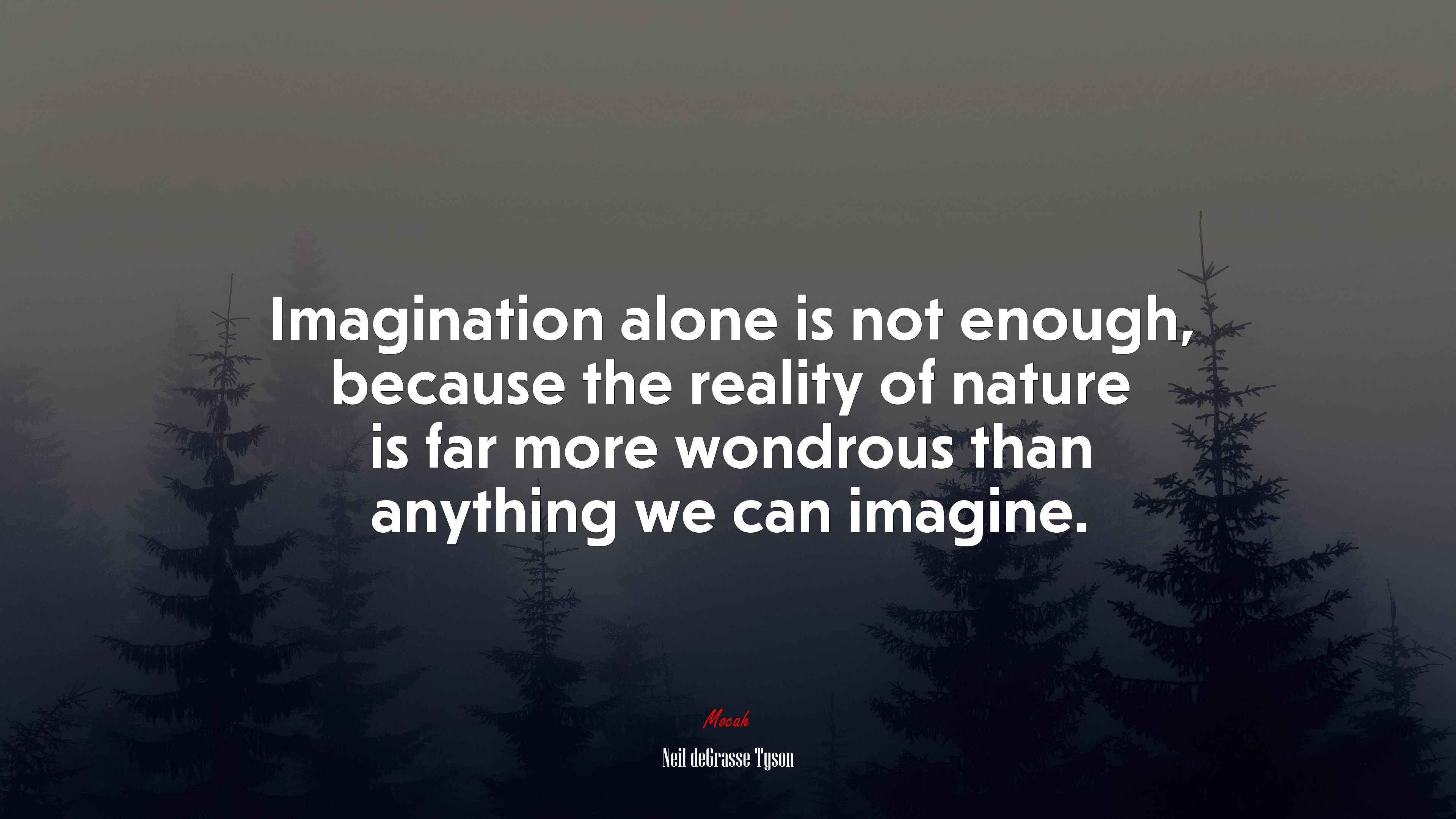 Imagination alone is not enough, because the reality of nature is far more wondrous than anything we can imagine. | Neil deGrasse Tyson quote HD Wallpaper