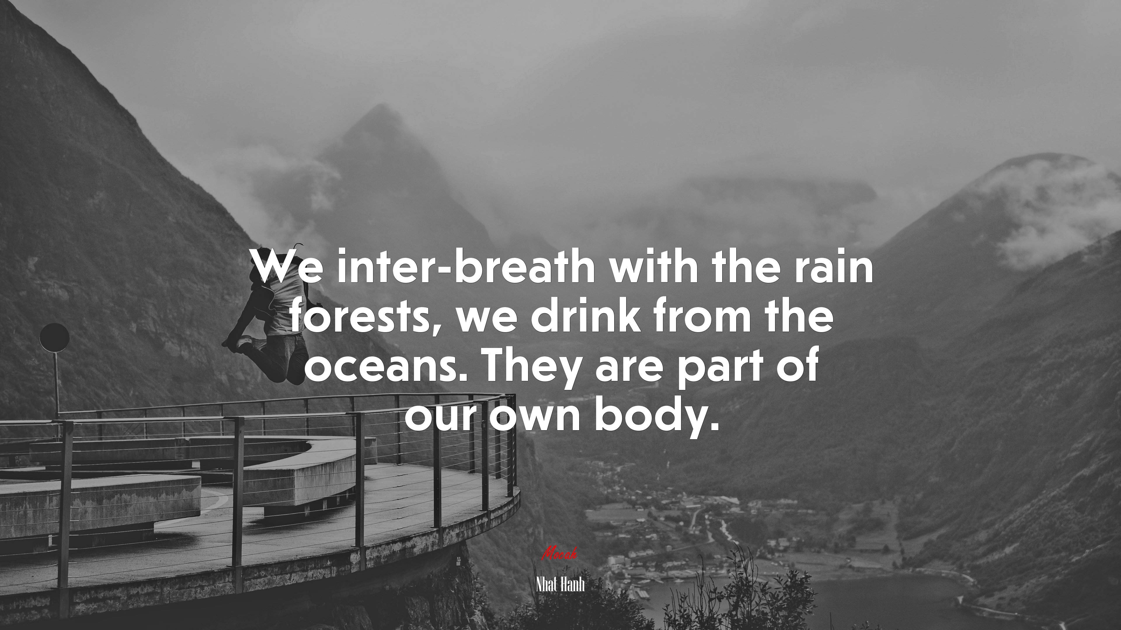 We inter-breath with the rain forests, we drink from the oceans. They are part of our own body. | Nhat Hanh quote HD Wallpaper