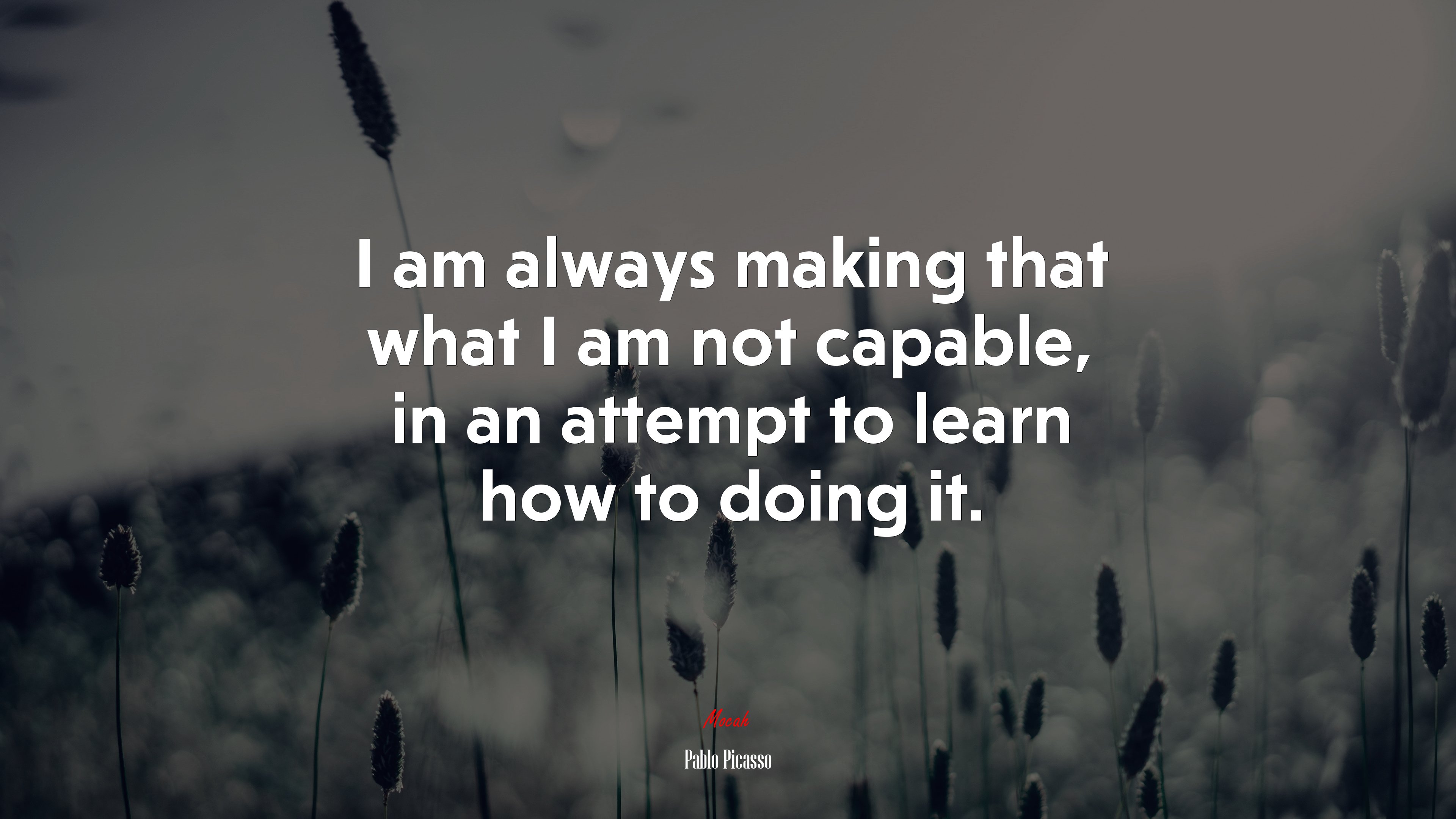 I am always making that what I am not capable, in an attempt to learn how to doing it. | Pablo Picasso quote HD Wallpaper