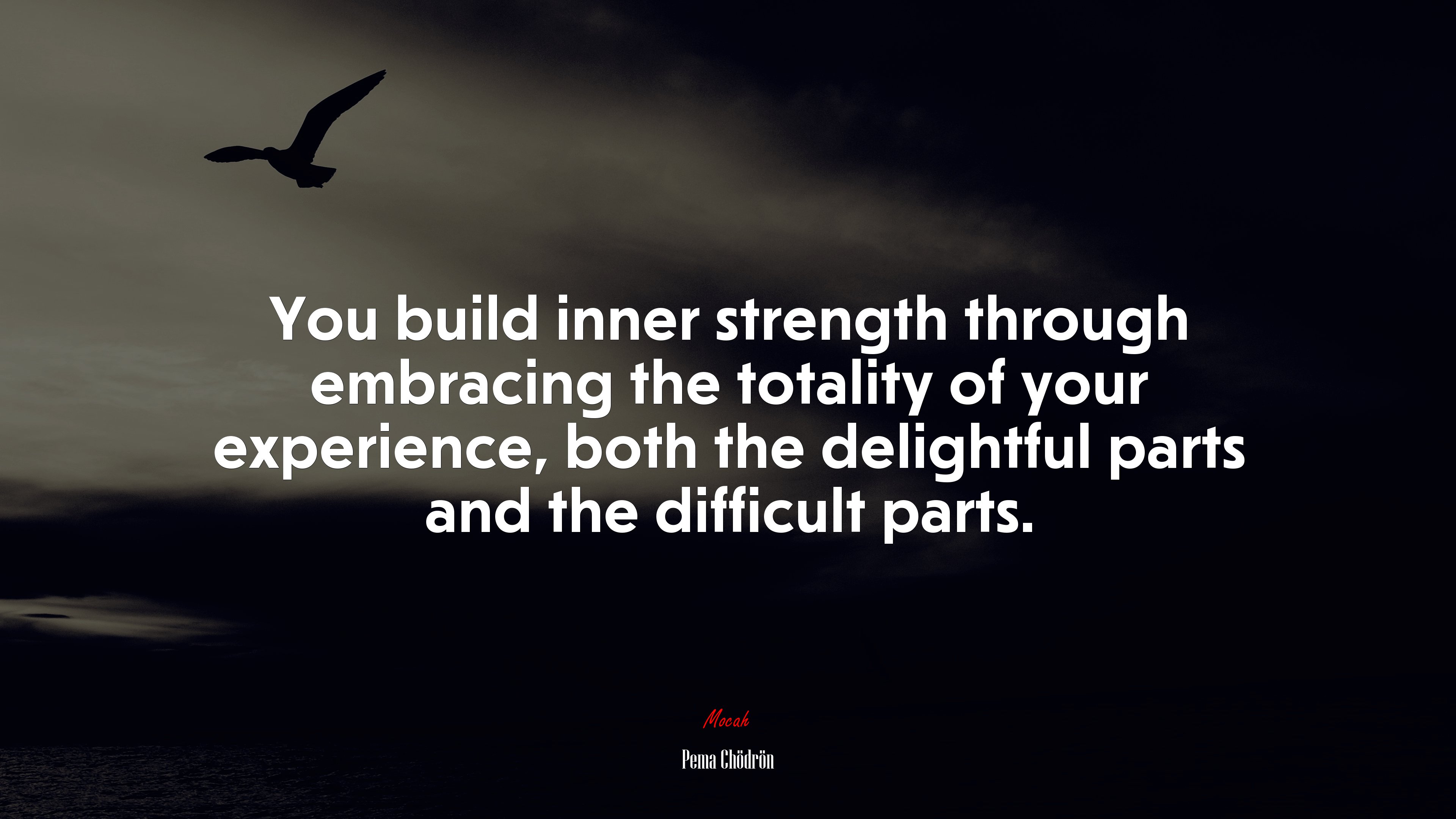 You build inner strength through embracing the totality of your experience, both the delightful parts and the difficult parts. | Pema Chödrön quote HD Wallpaper