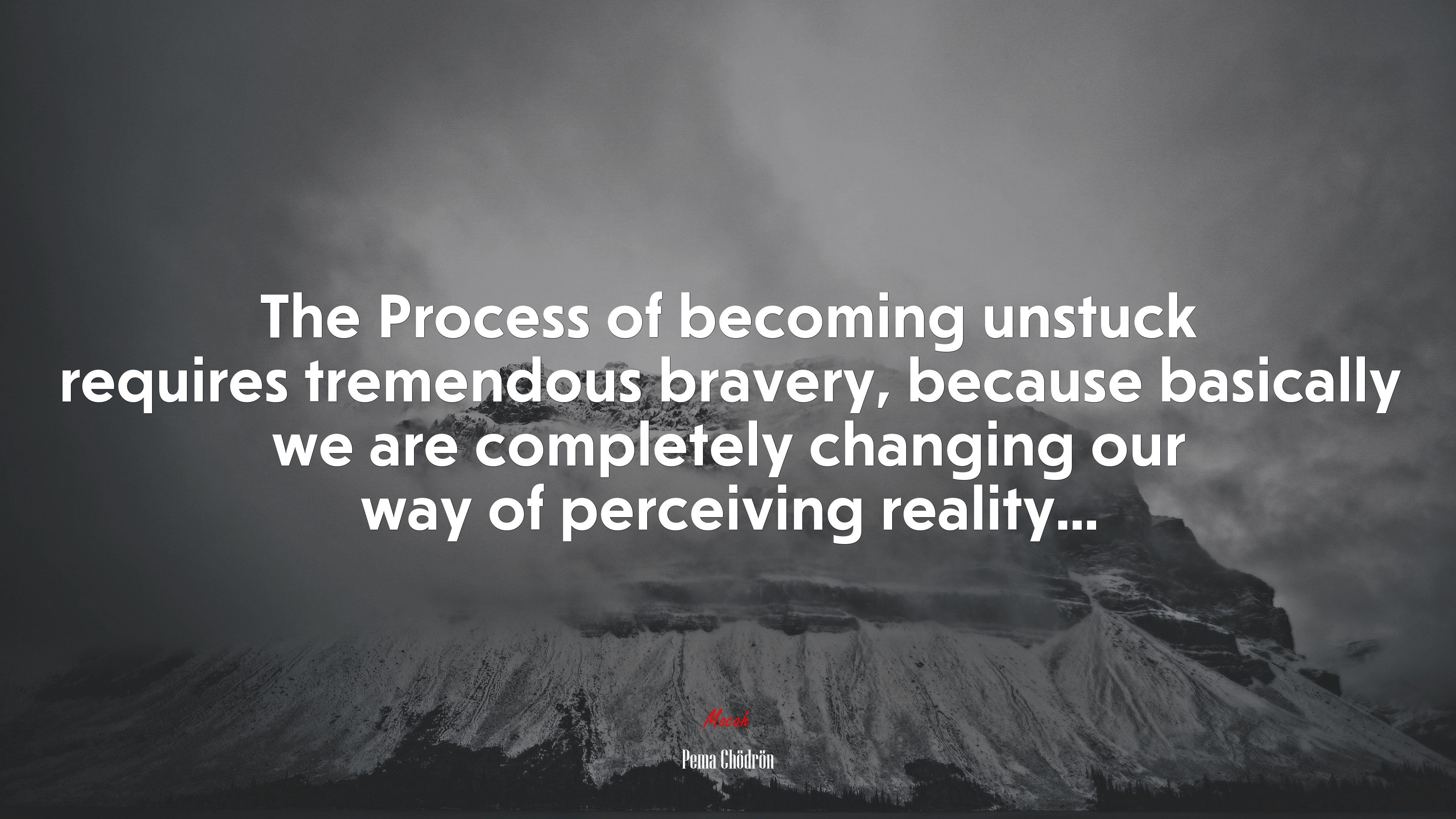 The Process of becoming unstuck requires tremendous bravery, because basically we are completely changing our way of perceiving reality... | Pema Chödrön quote HD Wallpaper