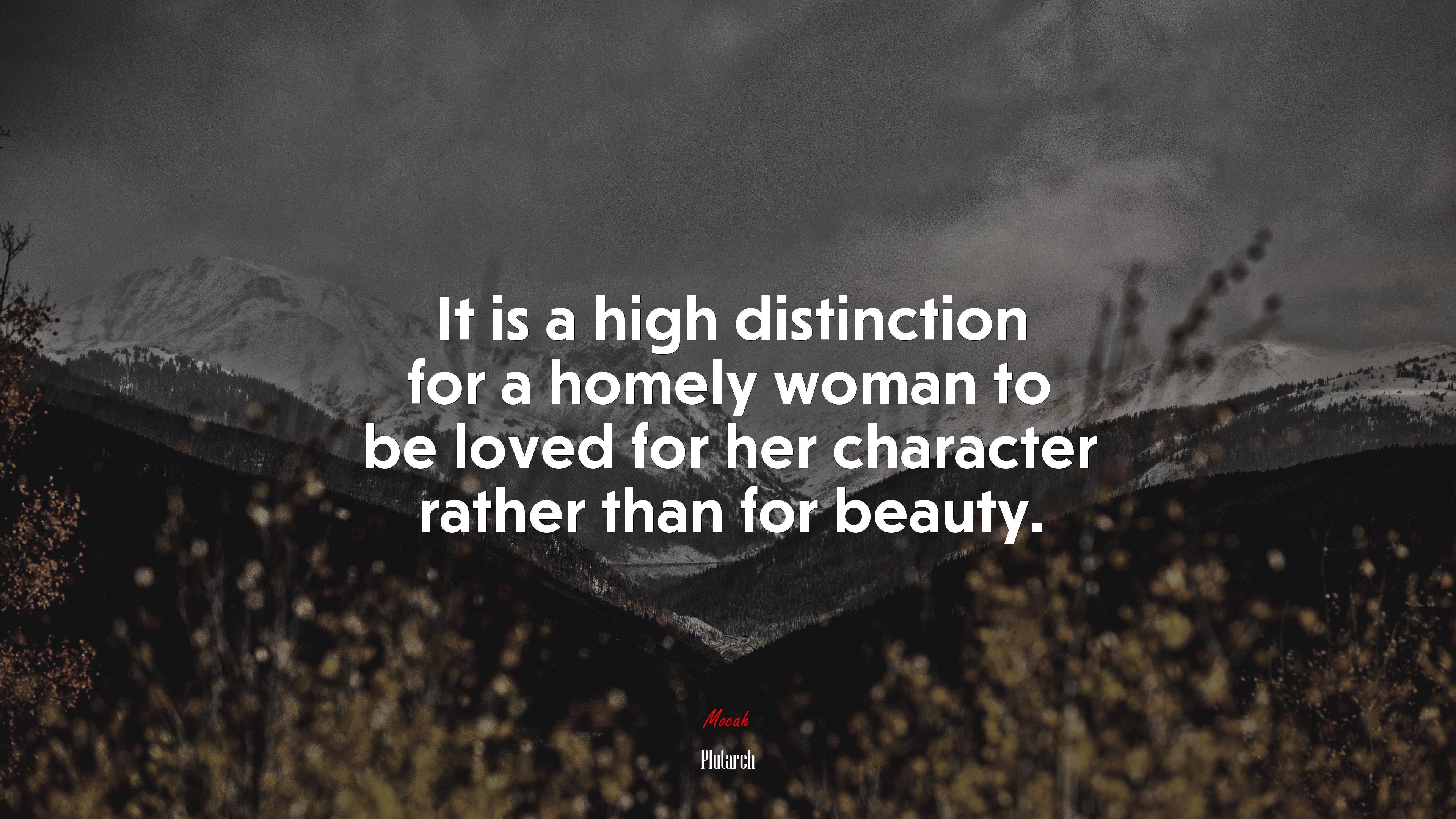 It is a high distinction for a homely woman to be loved for her character rather than for beauty. | Plutarch quote HD Wallpaper