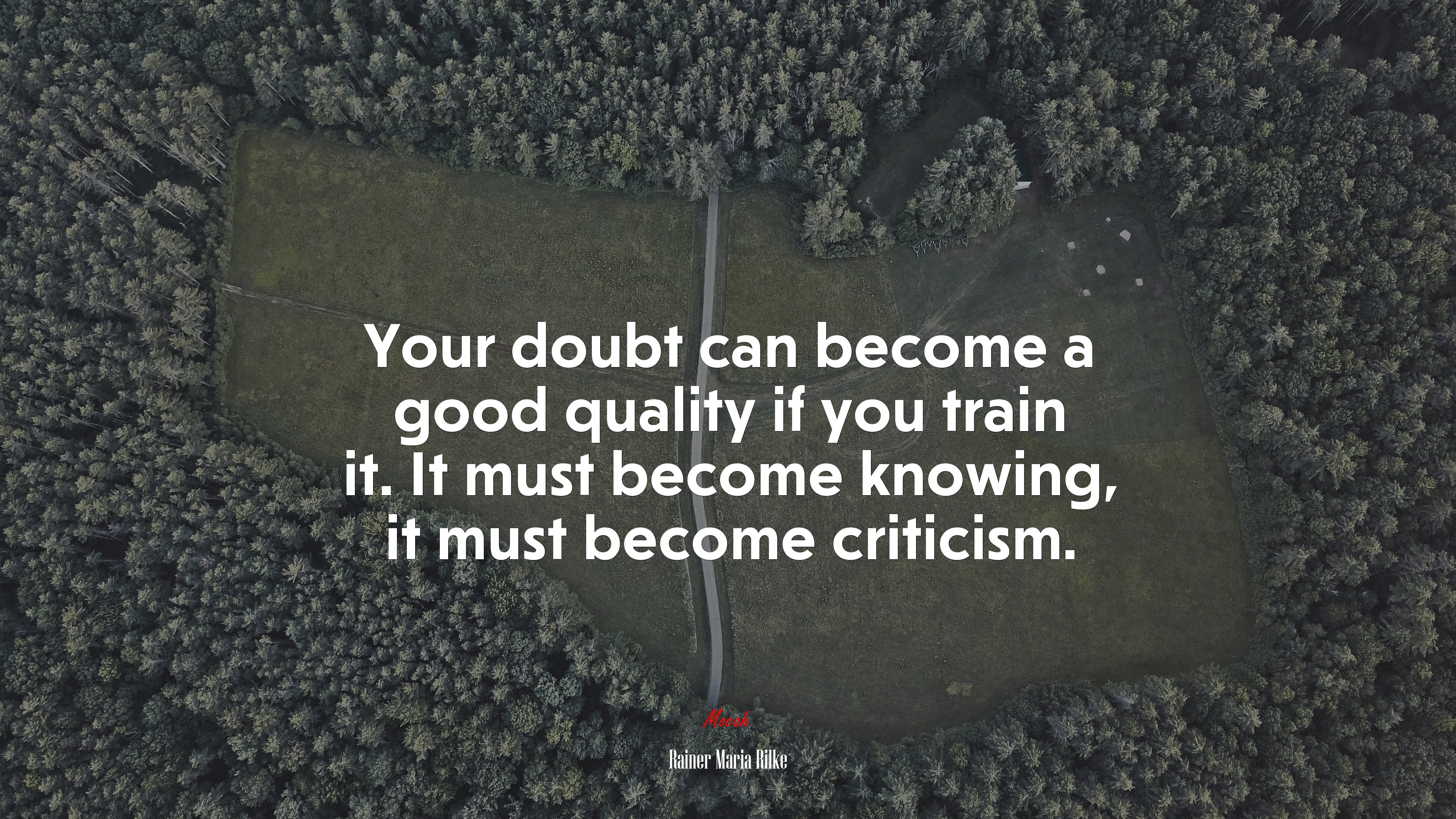 Your doubt can become a good quality if you train it. It must become knowing, it must become criticism. | Rainer Maria Rilke quote HD Wallpaper