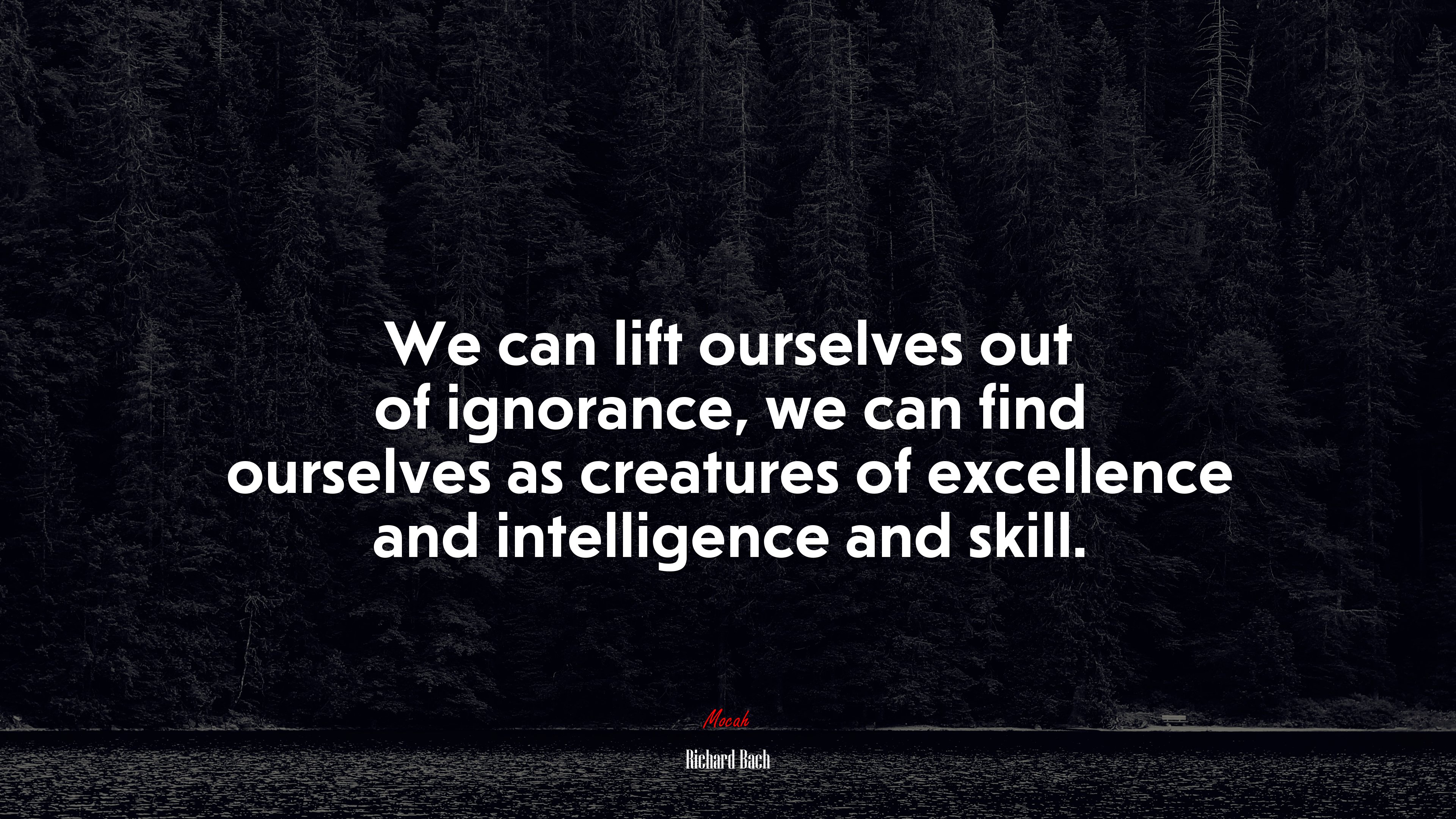 We can lift ourselves out of ignorance, we can find ourselves as creatures of excellence and intelligence and skill. | Richard Bach quote HD Wallpaper