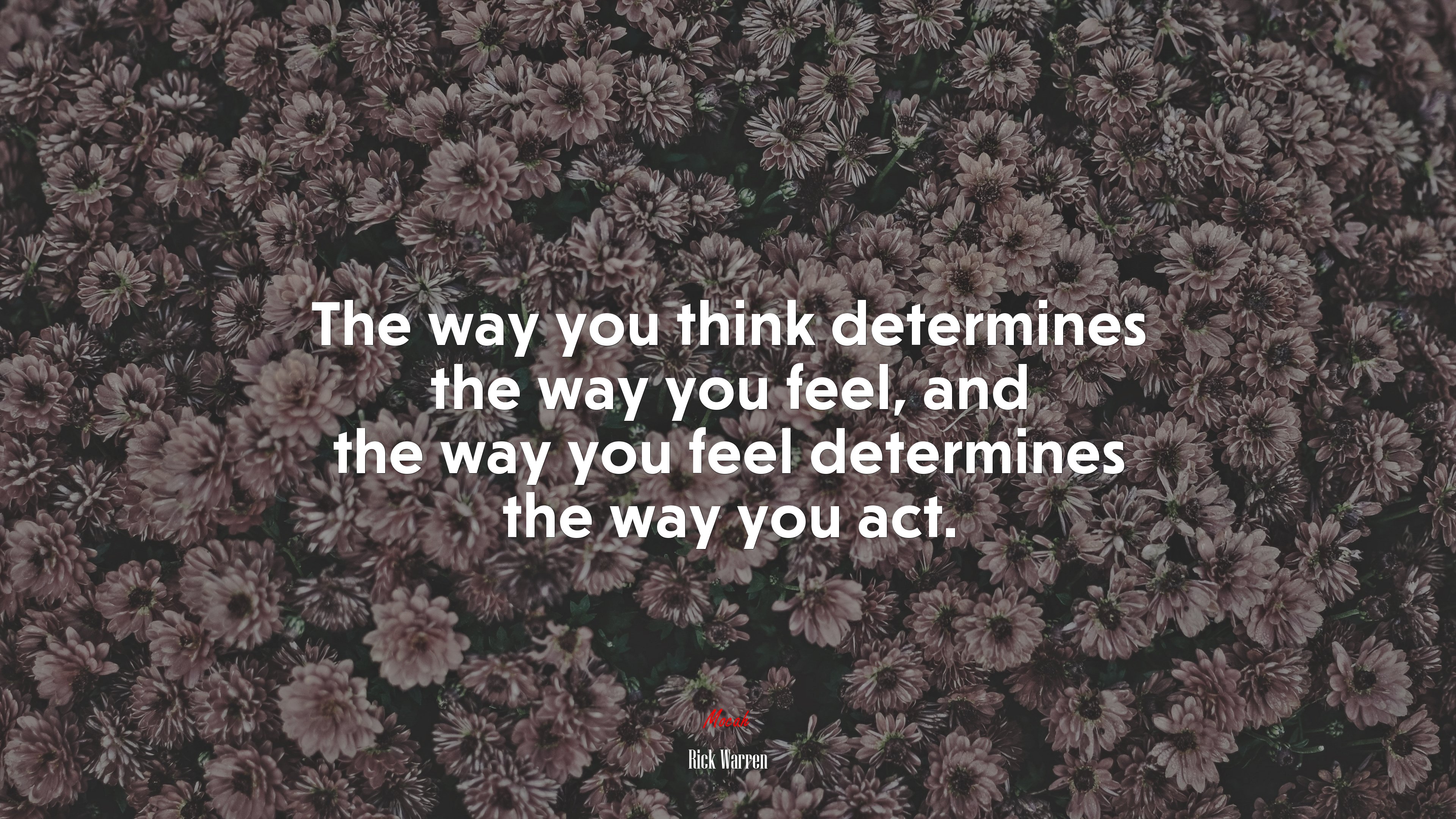 The way you think determines the way you feel, and the way you feel determines the way you act. | Rick Warren quote HD Wallpaper