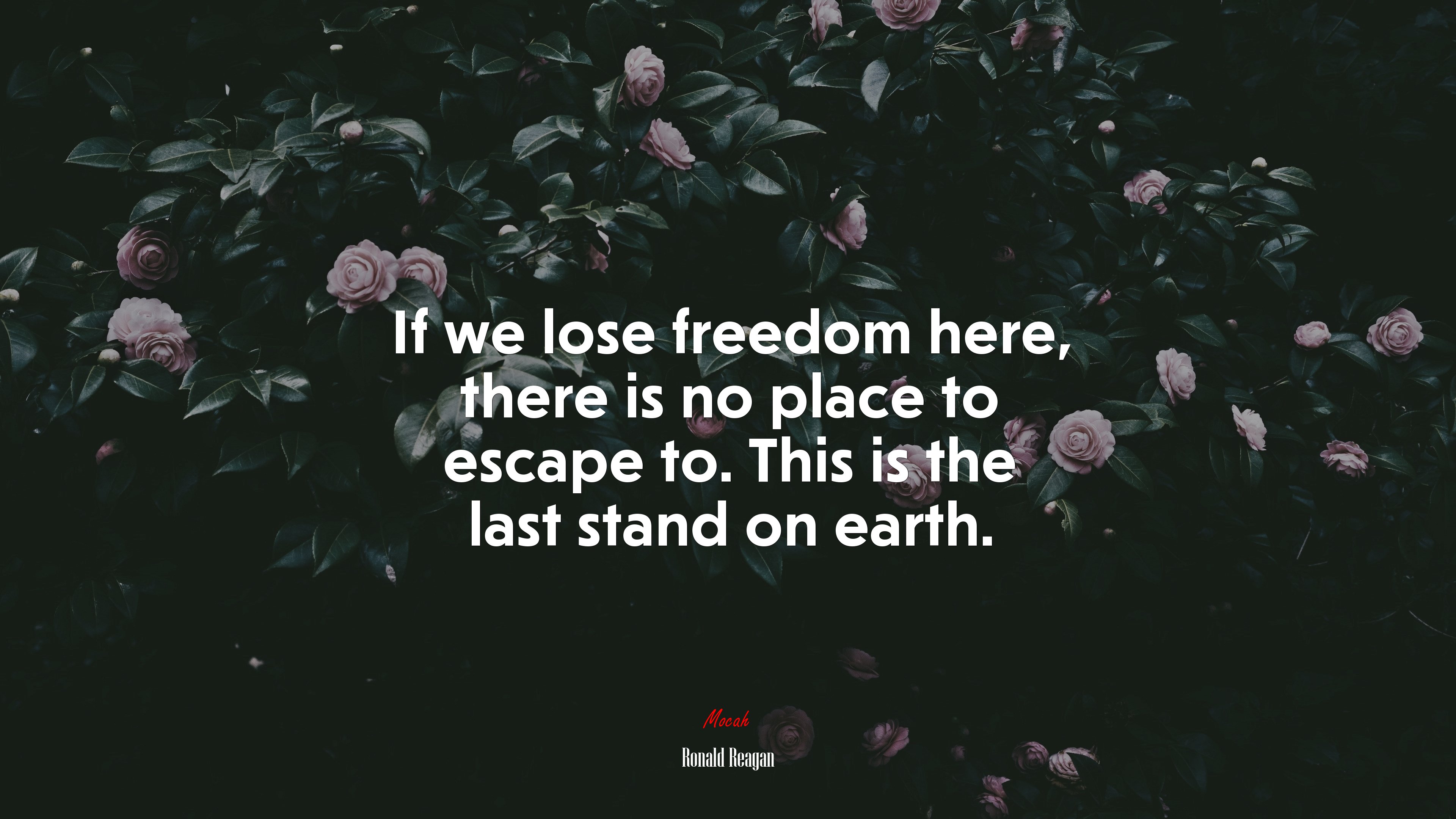 If we lose freedom here, there is no place to escape to. This is the last stand on earth. | Ronald Reagan quote HD Wallpaper