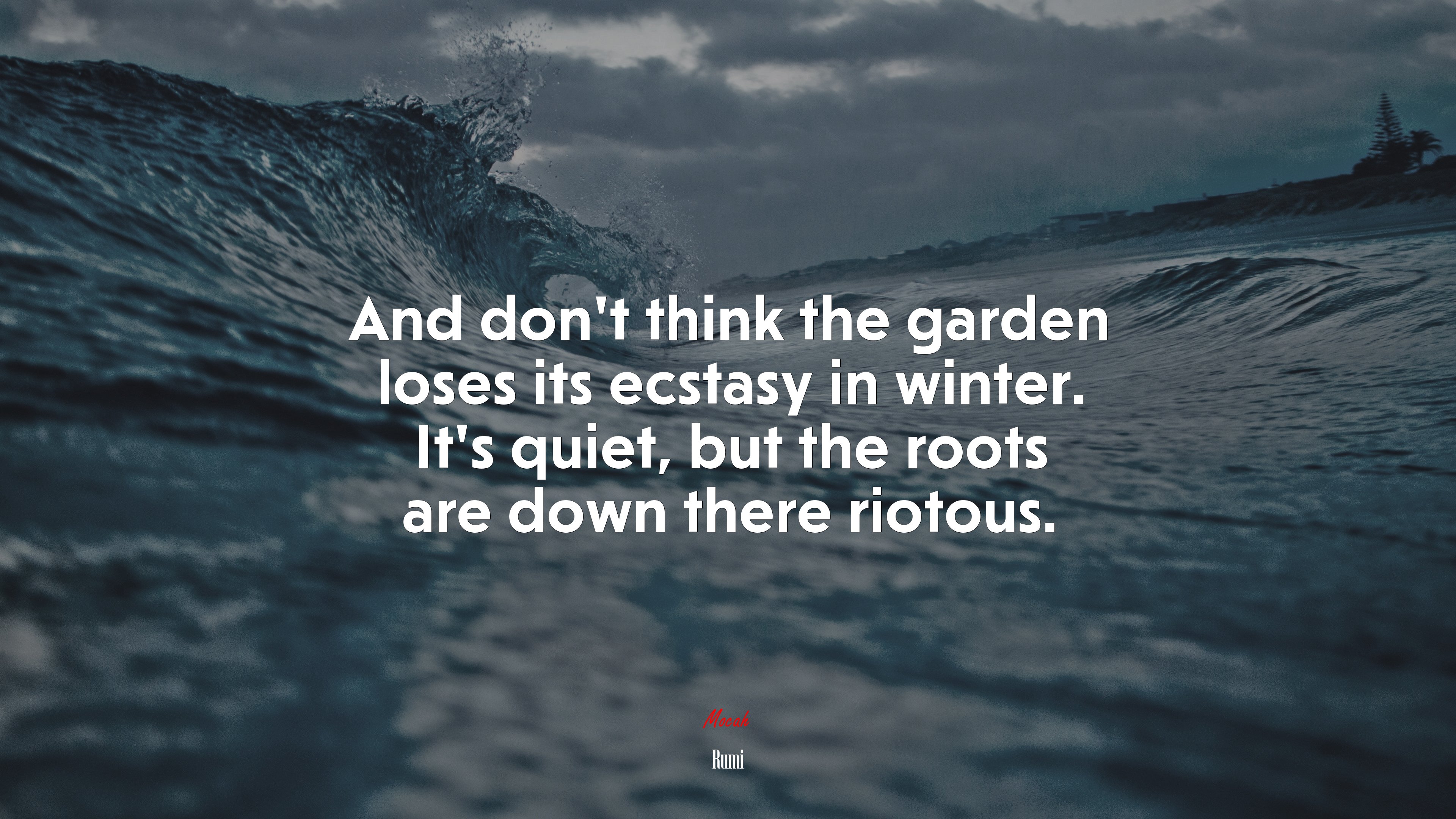 And don’t think the garden loses its ecstasy in winter. It’s quiet, but the roots are down there riotous. | Rumi quote HD Wallpaper