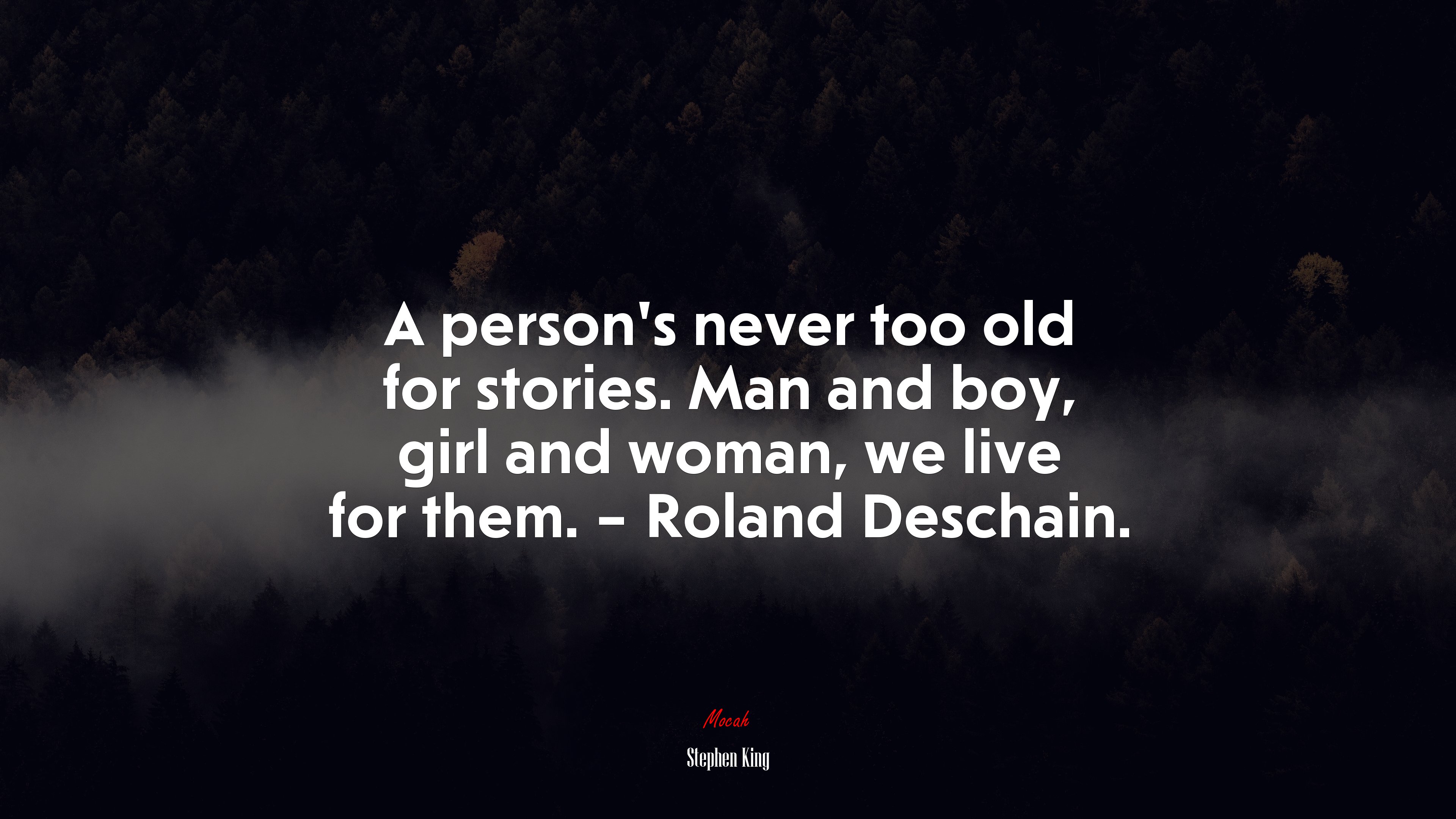 A person’s never too old for stories. Man and boy, girl and woman, we live for them. – Roland Deschain. | Stephen King quote HD Wallpaper