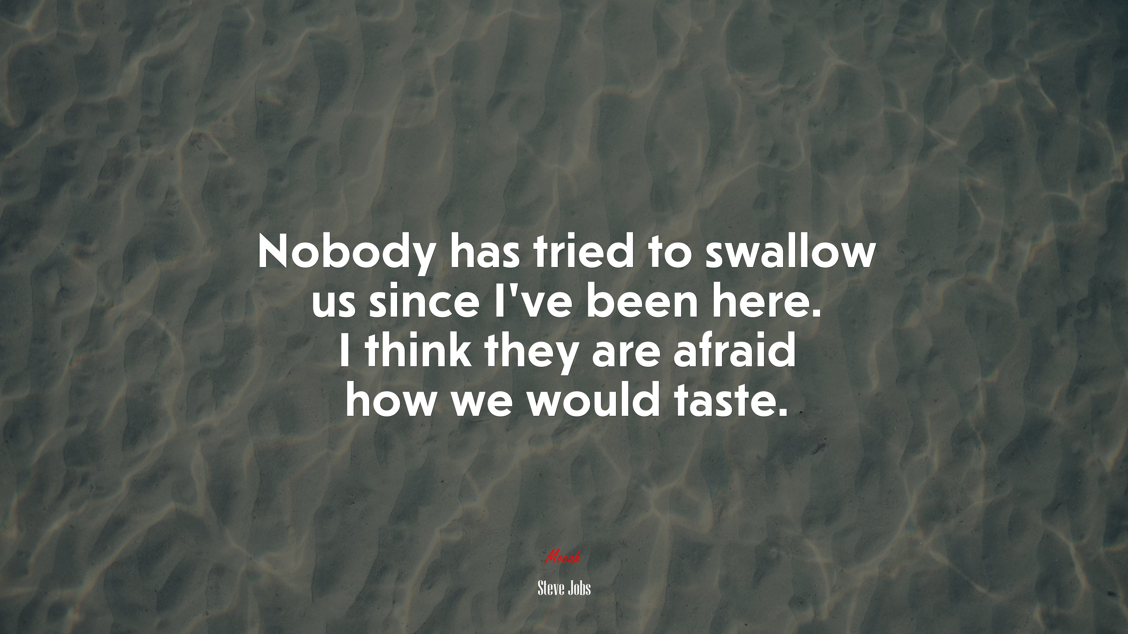 Nobody has tried to swallow us since I’ve been here. I think they are afraid how we would taste. | Steve Jobs quote HD Wallpaper