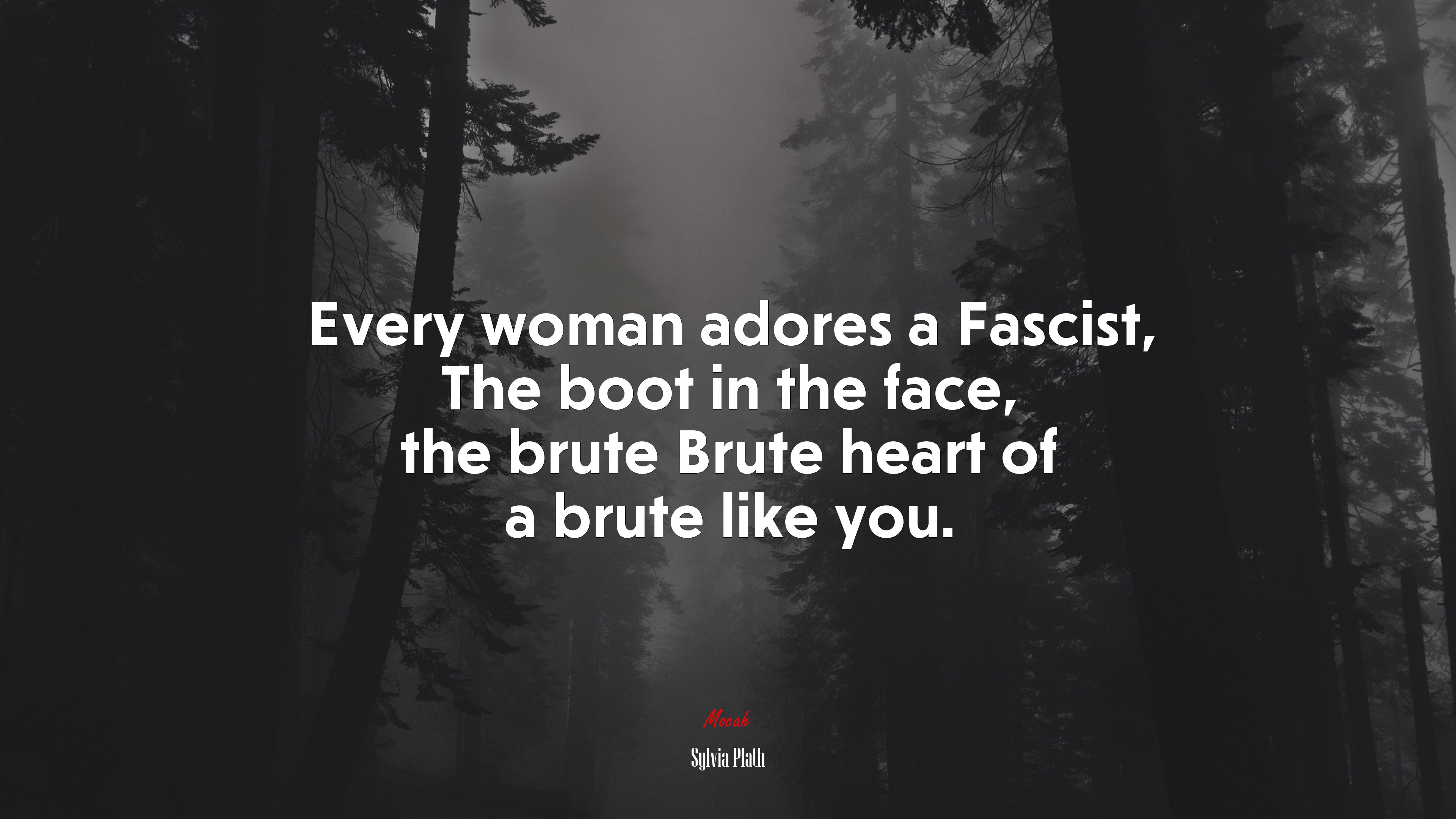 Every woman adores a Fascist, The boot in the face, the brute Brute heart of a brute like you. | Sylvia Plath quote HD Wallpaper