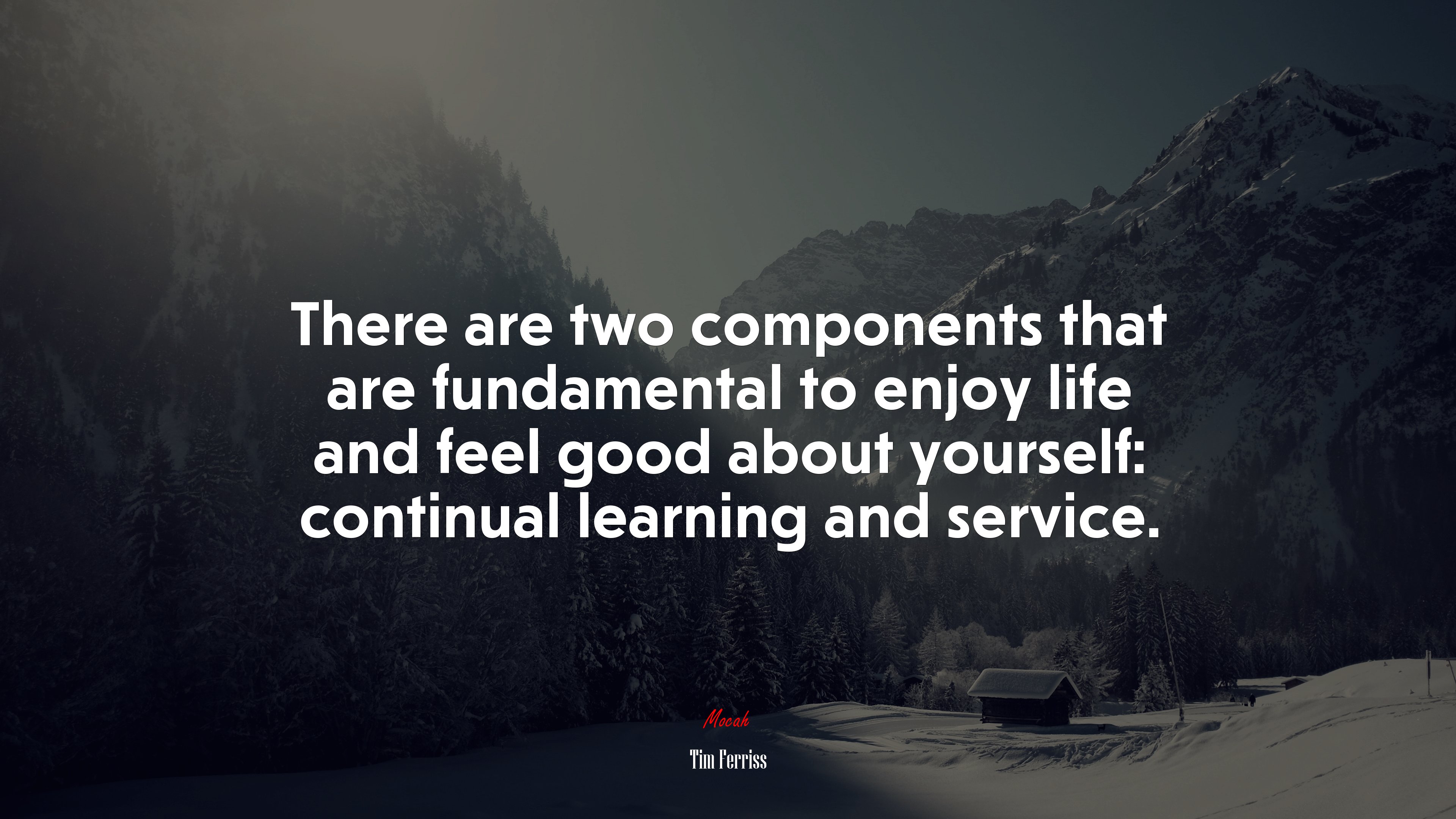 There are two components that are fundamental to enjoy life and feel good about yourself: continual learning and service. | Tim Ferriss quote HD Wallpaper