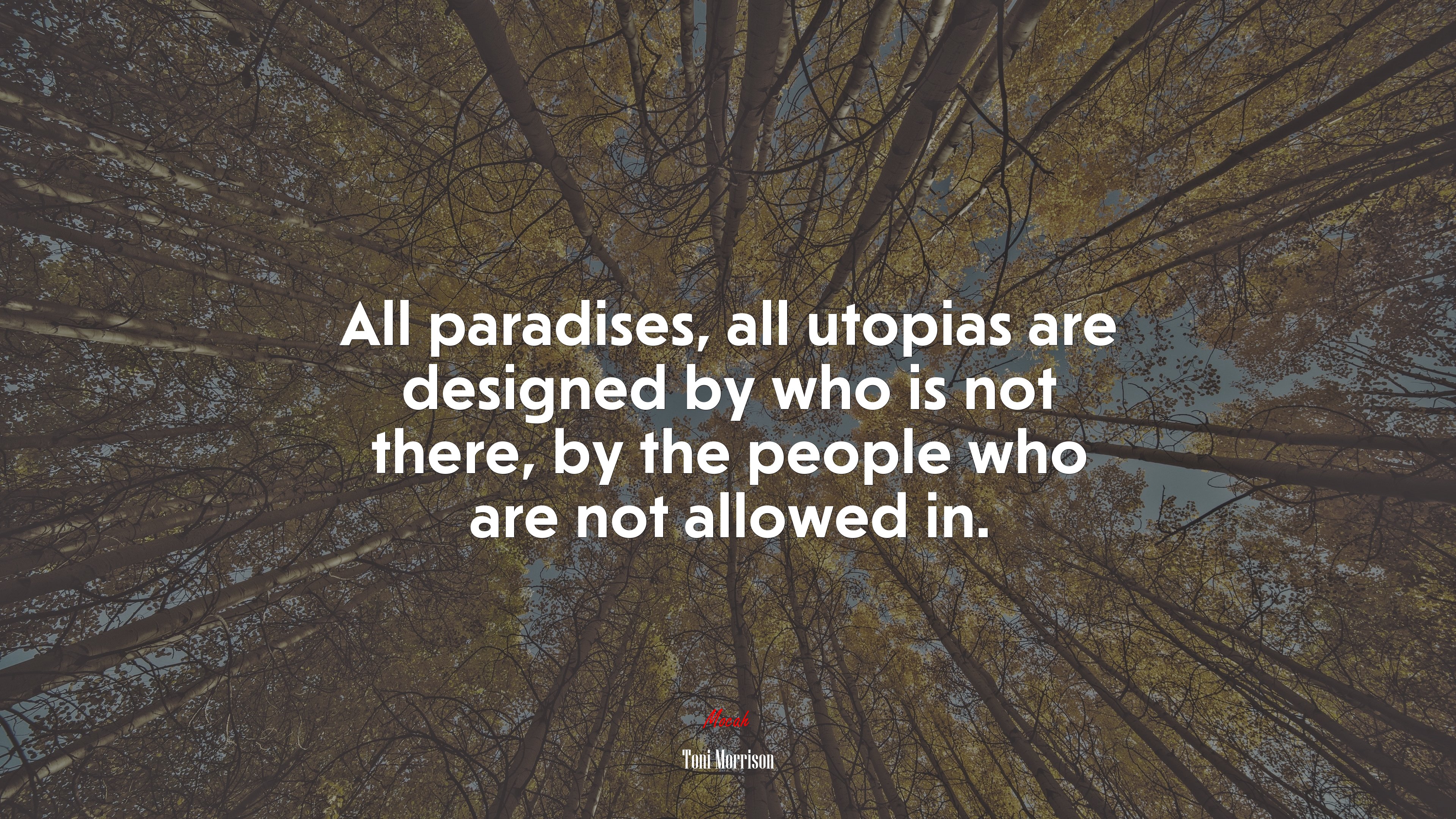 All paradises, all utopias are designed by who is not there, by the people who are not allowed in. | Toni Morrison quote HD Wallpaper