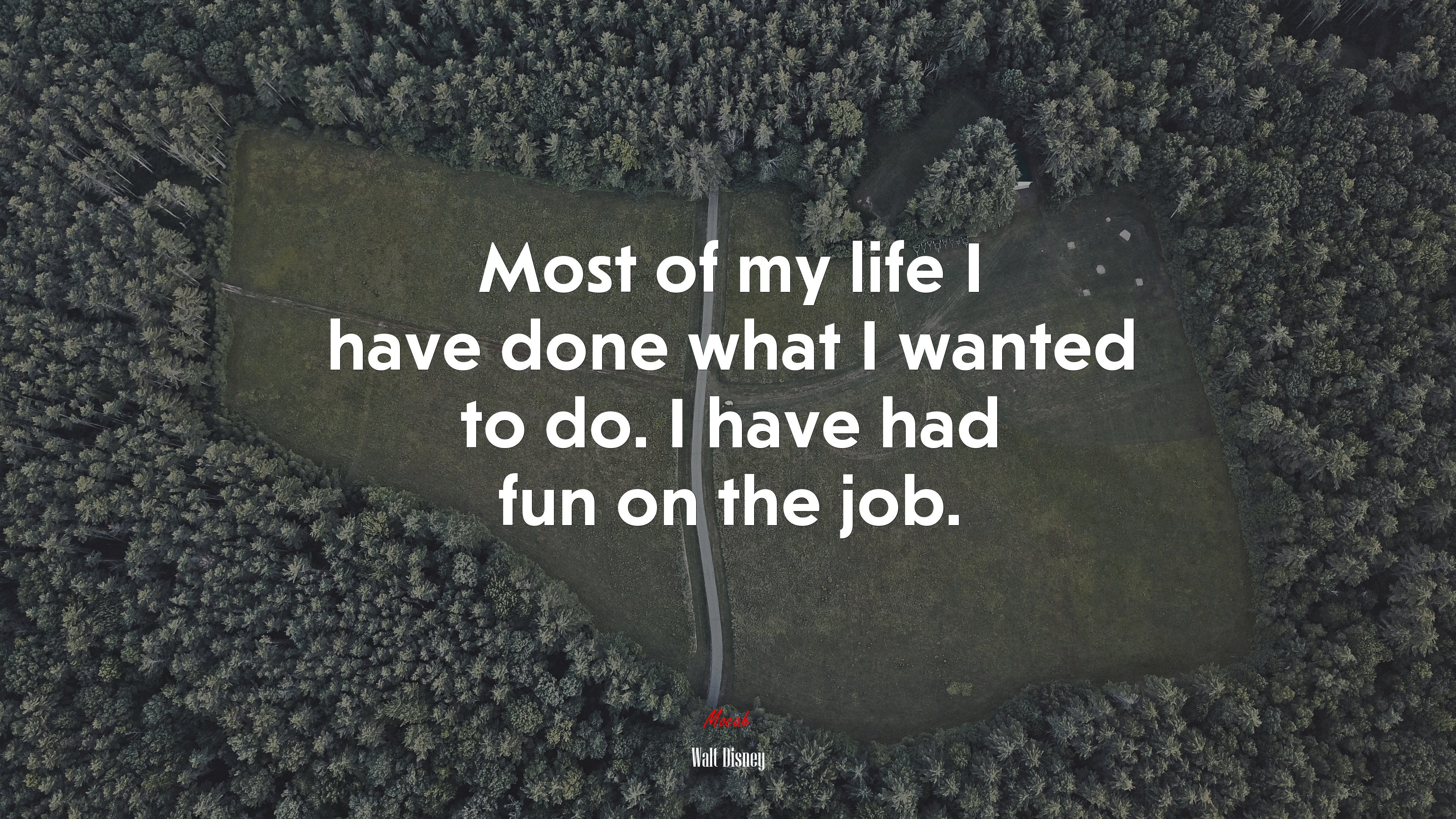 Most of my life I have done what I wanted to do. I have had fun on the job. | Walt Disney quote HD Wallpaper