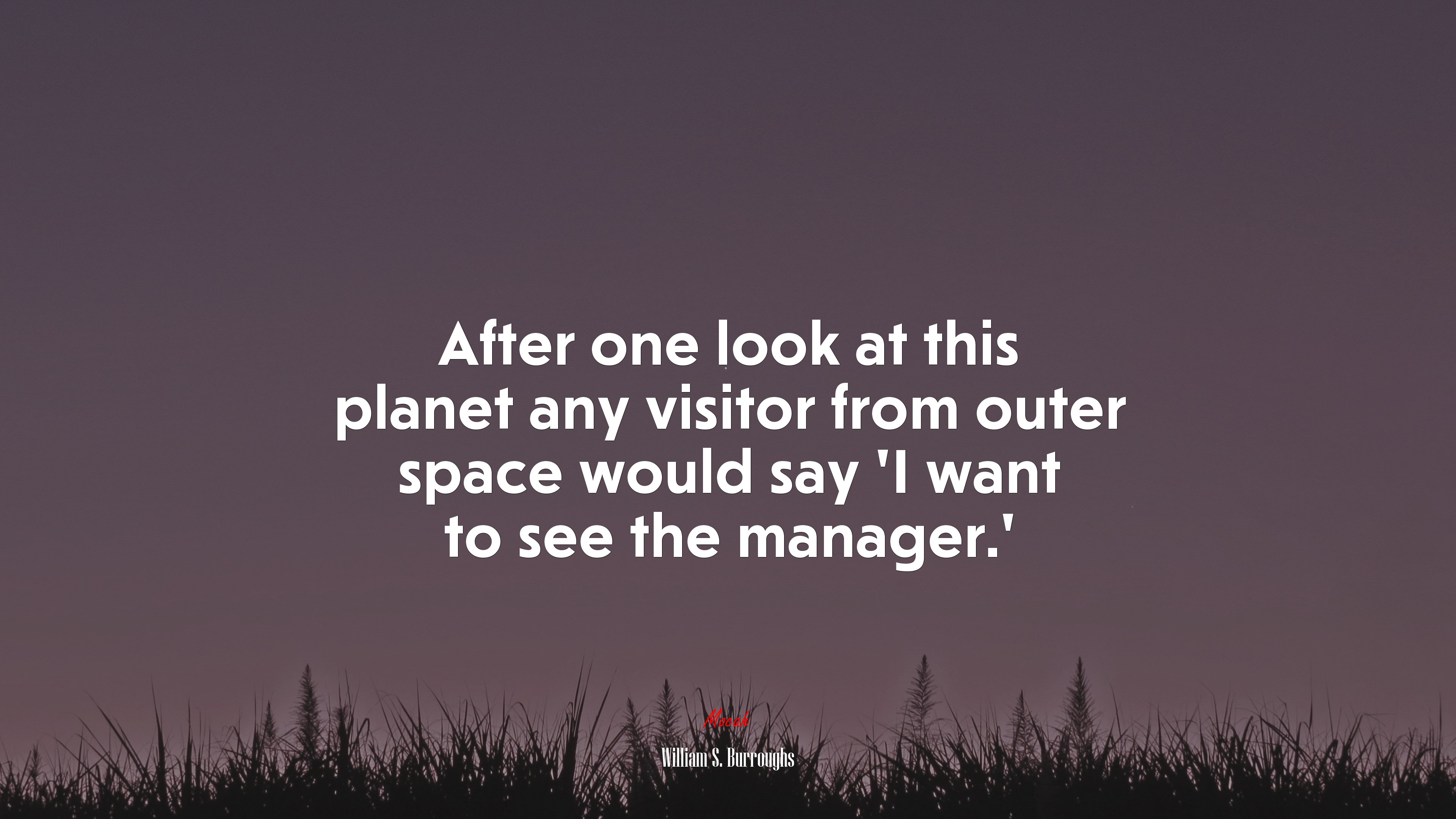 After one look at this planet any visitor from outer space would say ‘I want to see the manager.’ | William S. Burroughs quote HD Wallpaper