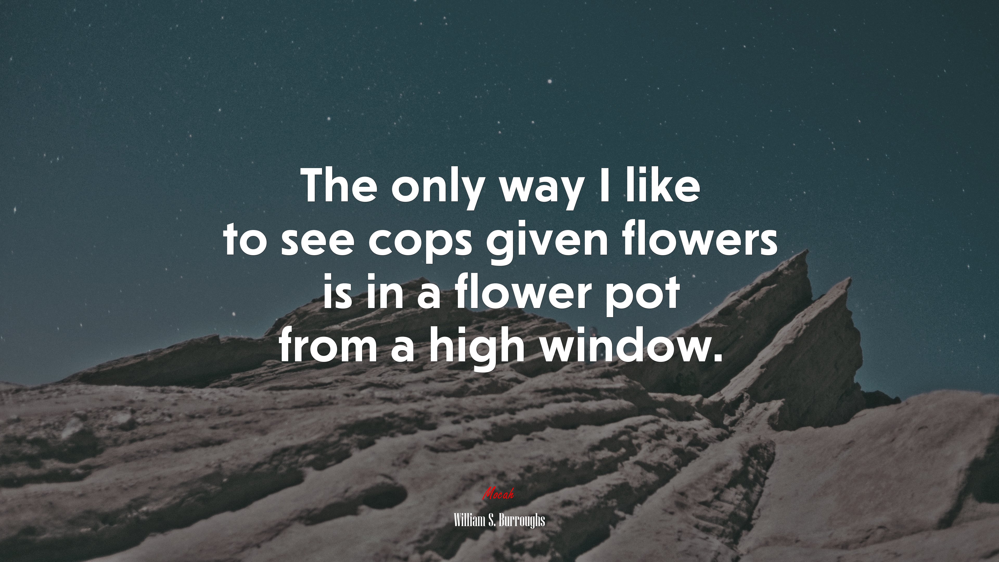 The only way I like to see cops given flowers is in a flower pot from a high window. | William S. Burroughs quote HD Wallpaper