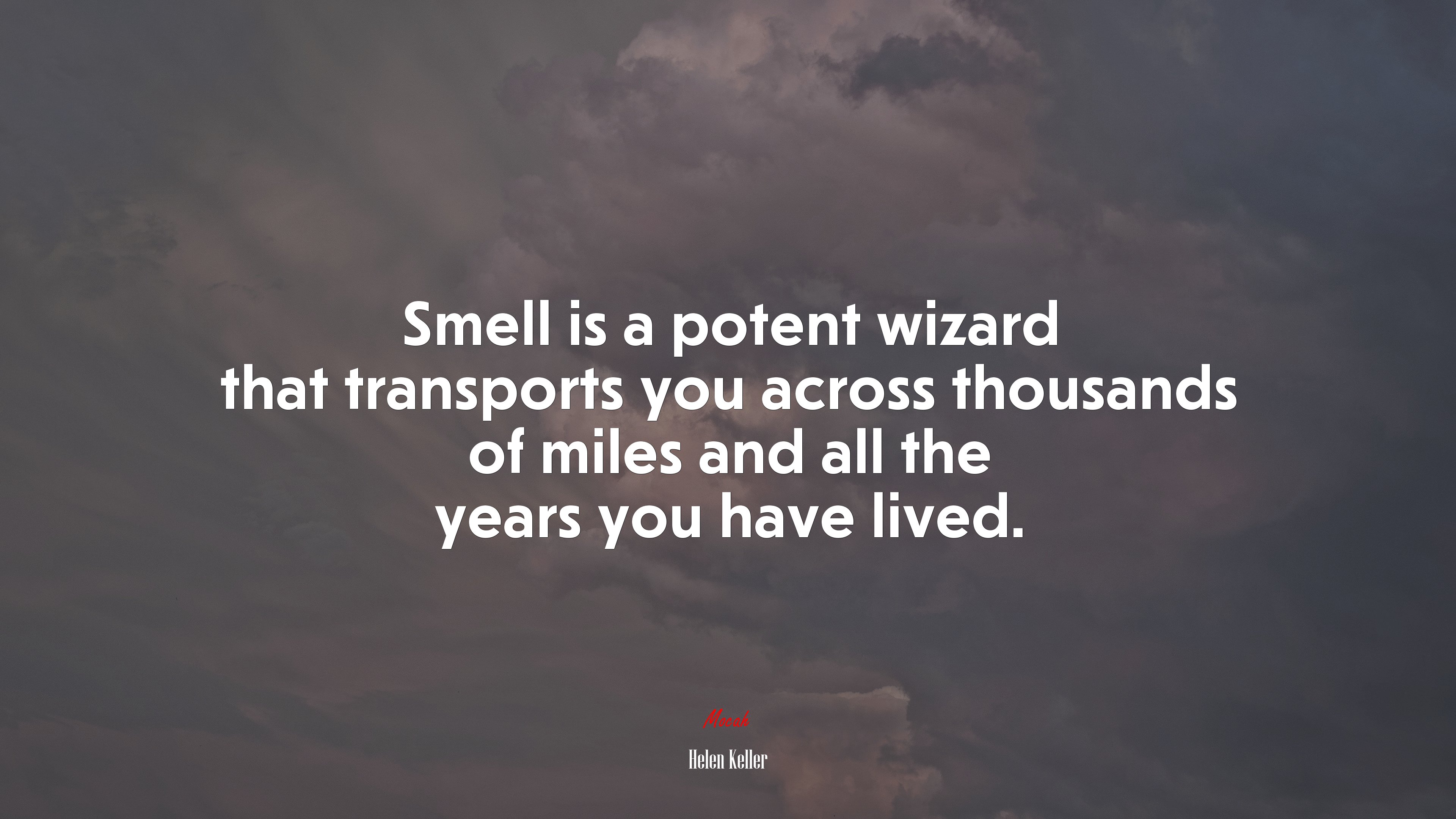 Smell is a potent wizard that transports you across thousands of miles and all the years you have lived. | Helen Keller quote HD Wallpaper