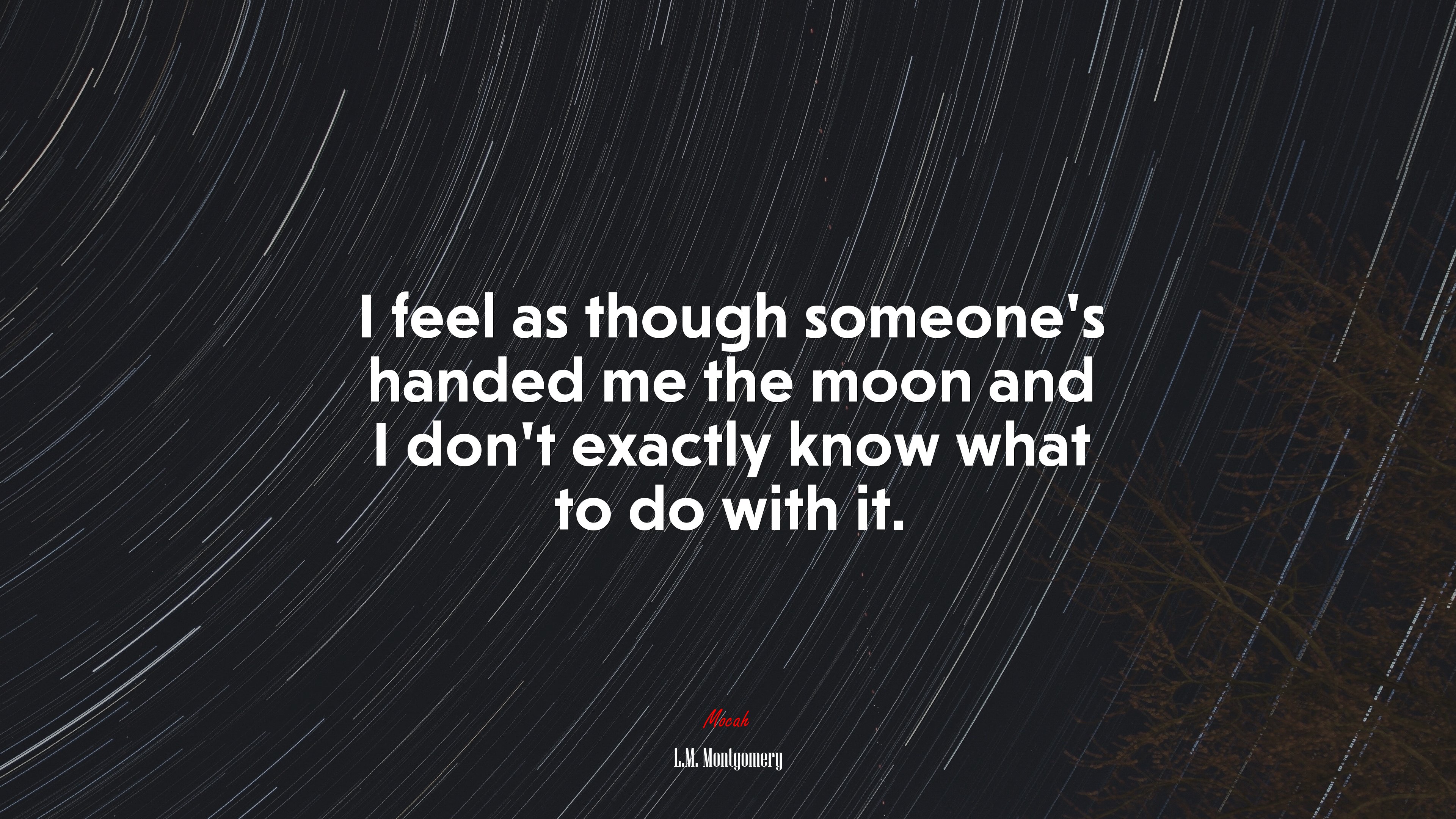 I feel as though someone’s handed me the moon and I don’t exactly know what to do with it. | L.M. Montgomery quote HD Wallpaper
