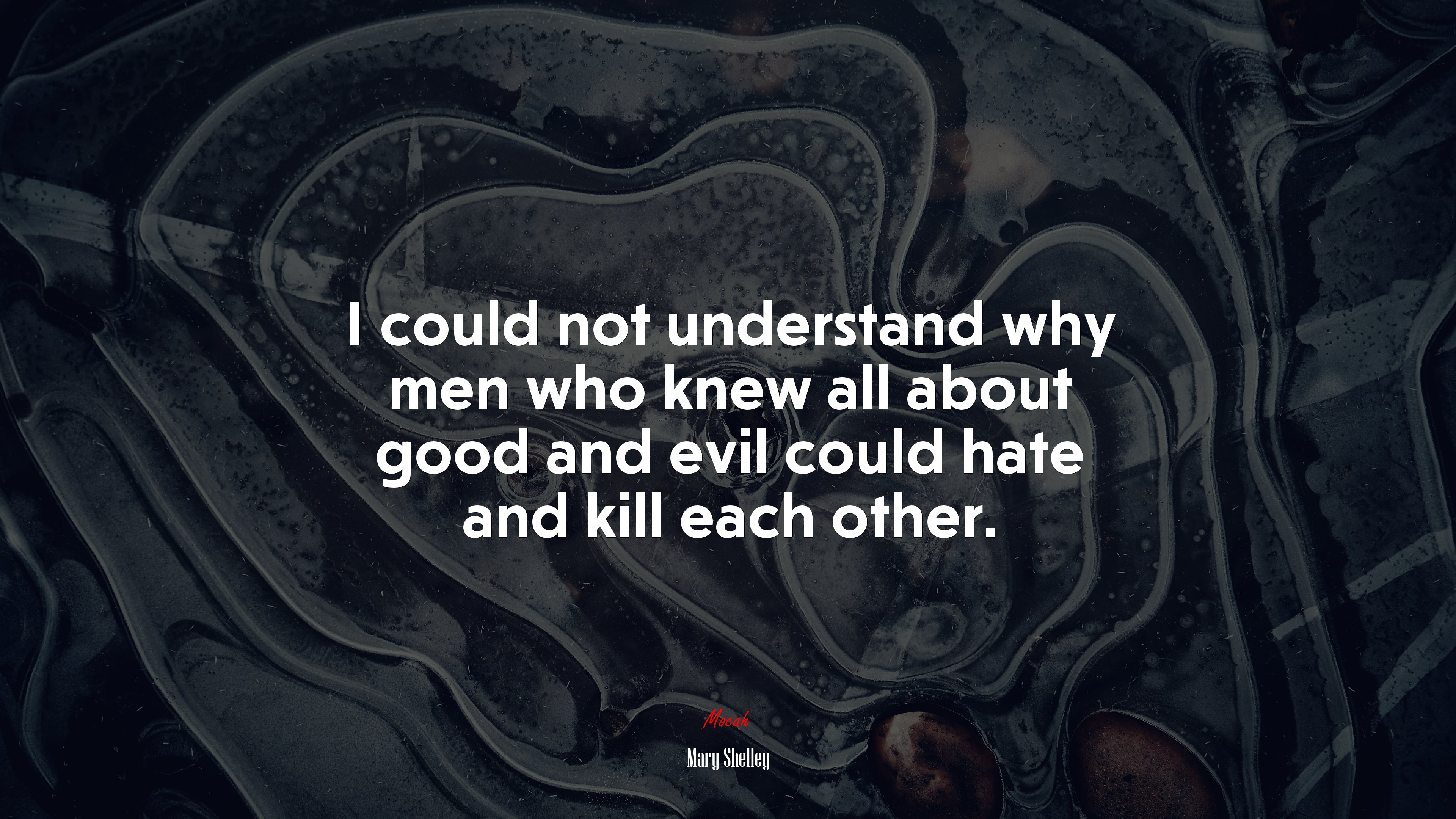 I could not understand why men who knew all about good and evil could hate and kill each other. | Mary Shelley quote HD Wallpaper