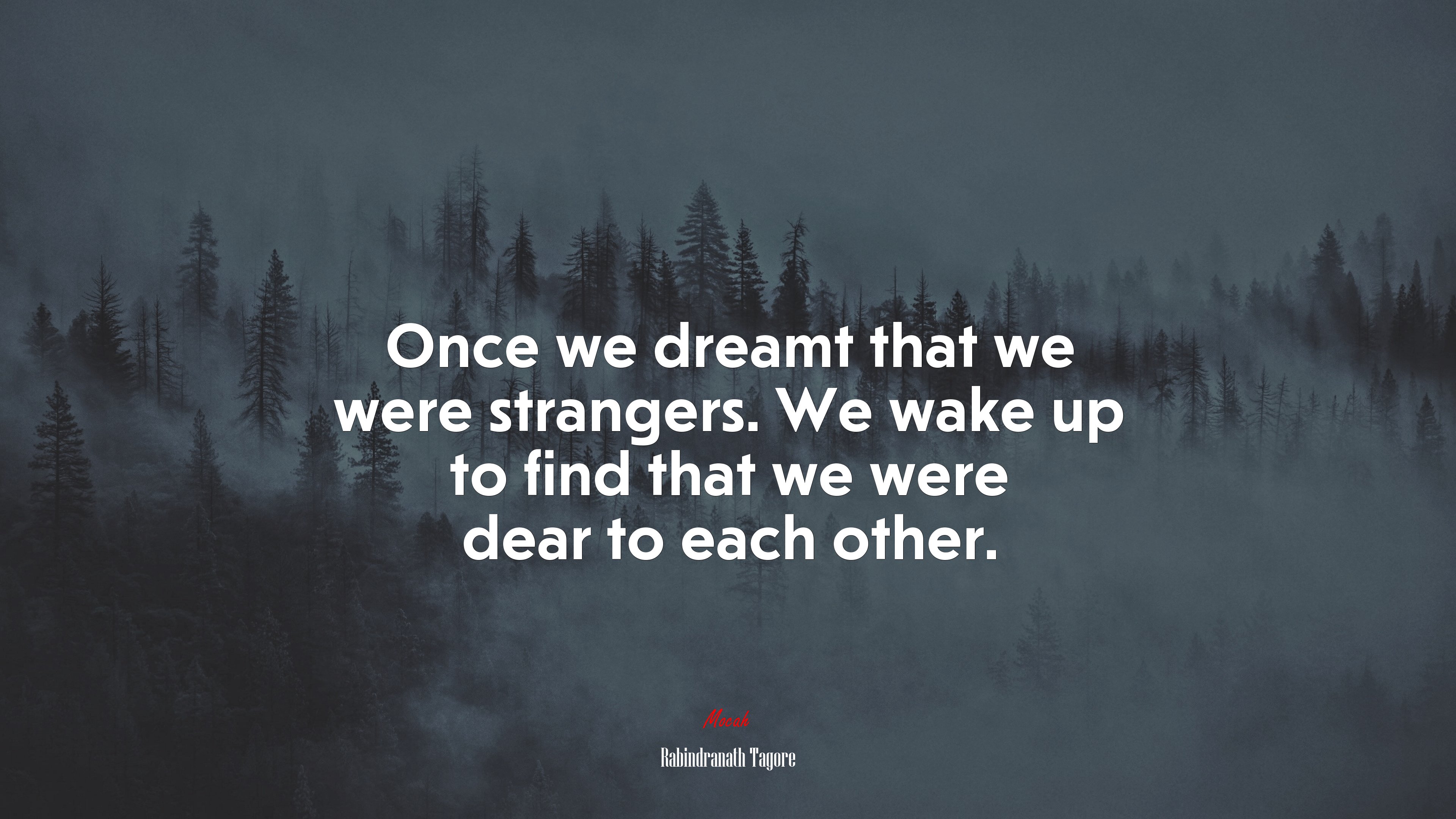 Once we dreamt that we were strangers. We wake up to find that we were dear to each other. | Rabindranath Tagore quote HD Wallpaper