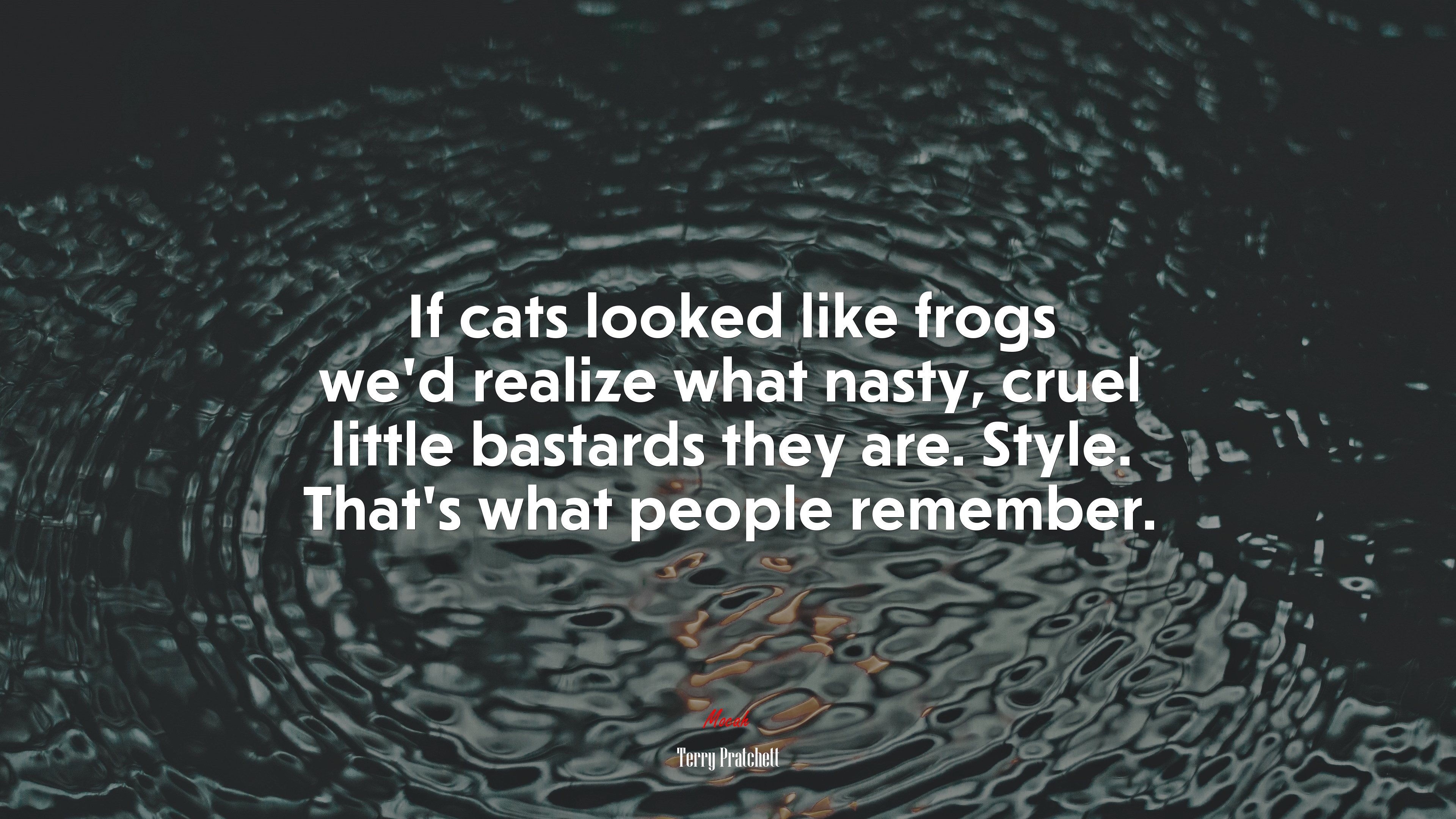 If cats looked like frogs we’d realize what nasty, cruel little bastards they are. Style. That’s what people remember. | Terry Pratchett quote HD Wallpaper