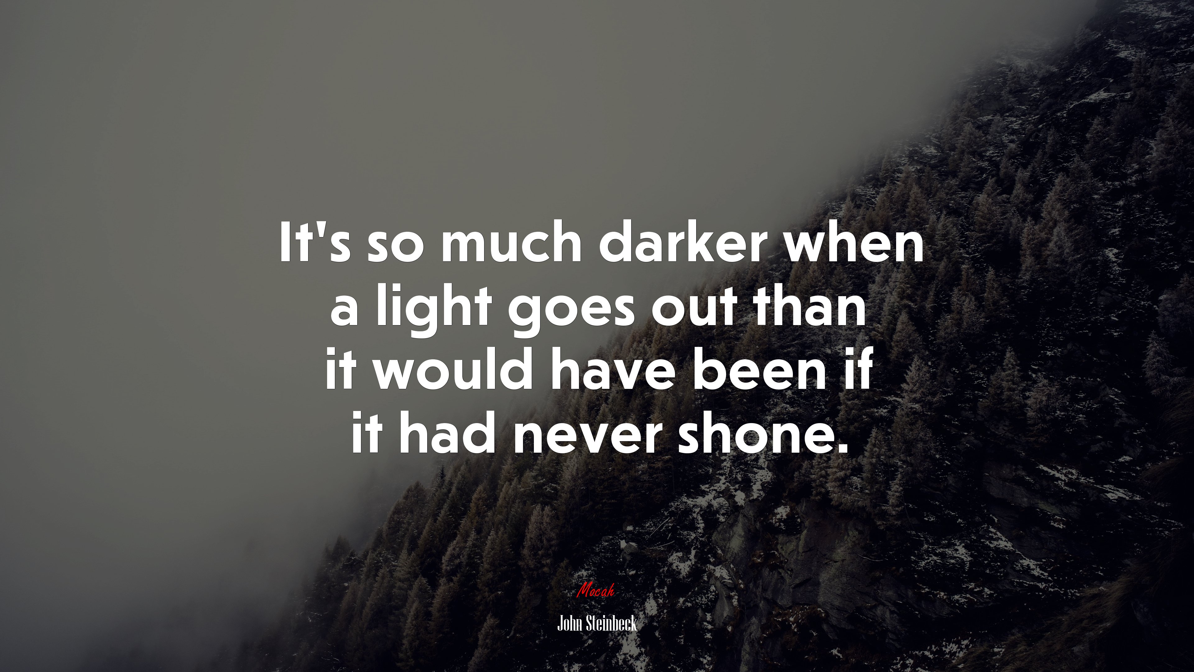 It’s so much darker when a light goes out than it would have been if it had never shone. | John Steinbeck quote HD Wallpaper