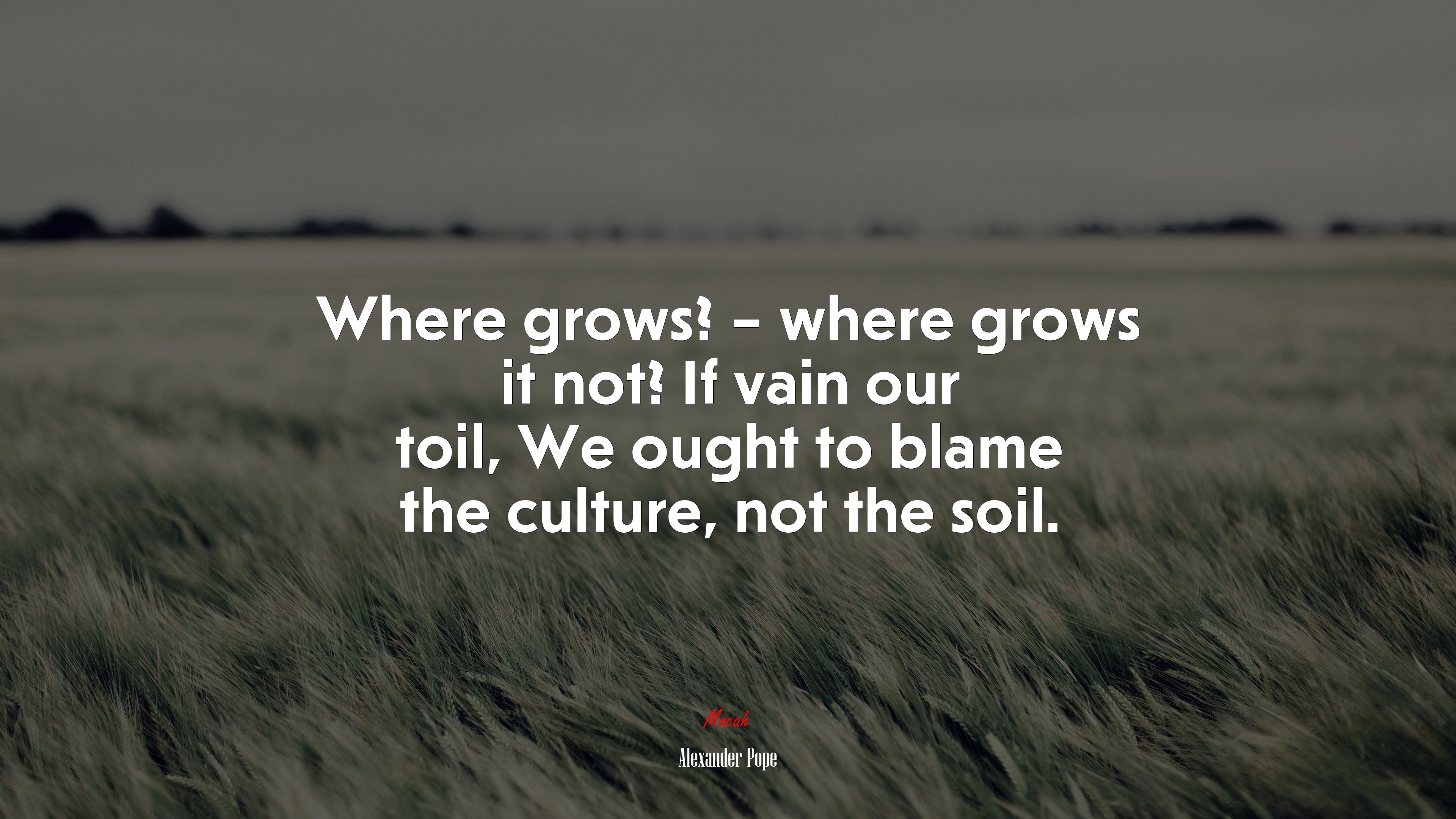Where grows? – where grows it not? If vain our toil, We ought to blame the culture, not the soil. | Alexander Pope quote HD Wallpaper