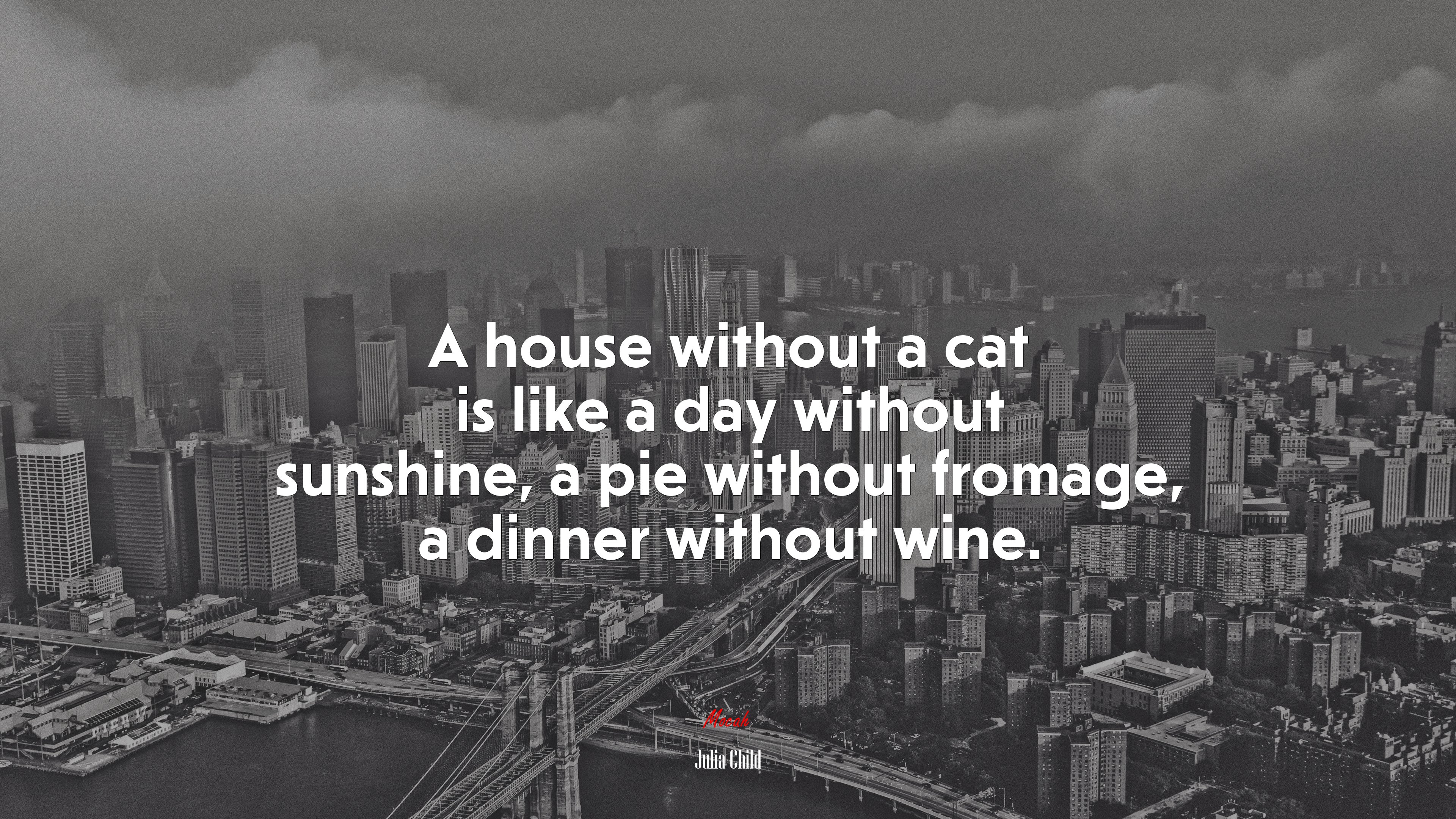 A house without a cat is like a day without sunshine, a pie without fromage, a dinner without wine. | Julia Child quote HD Wallpaper