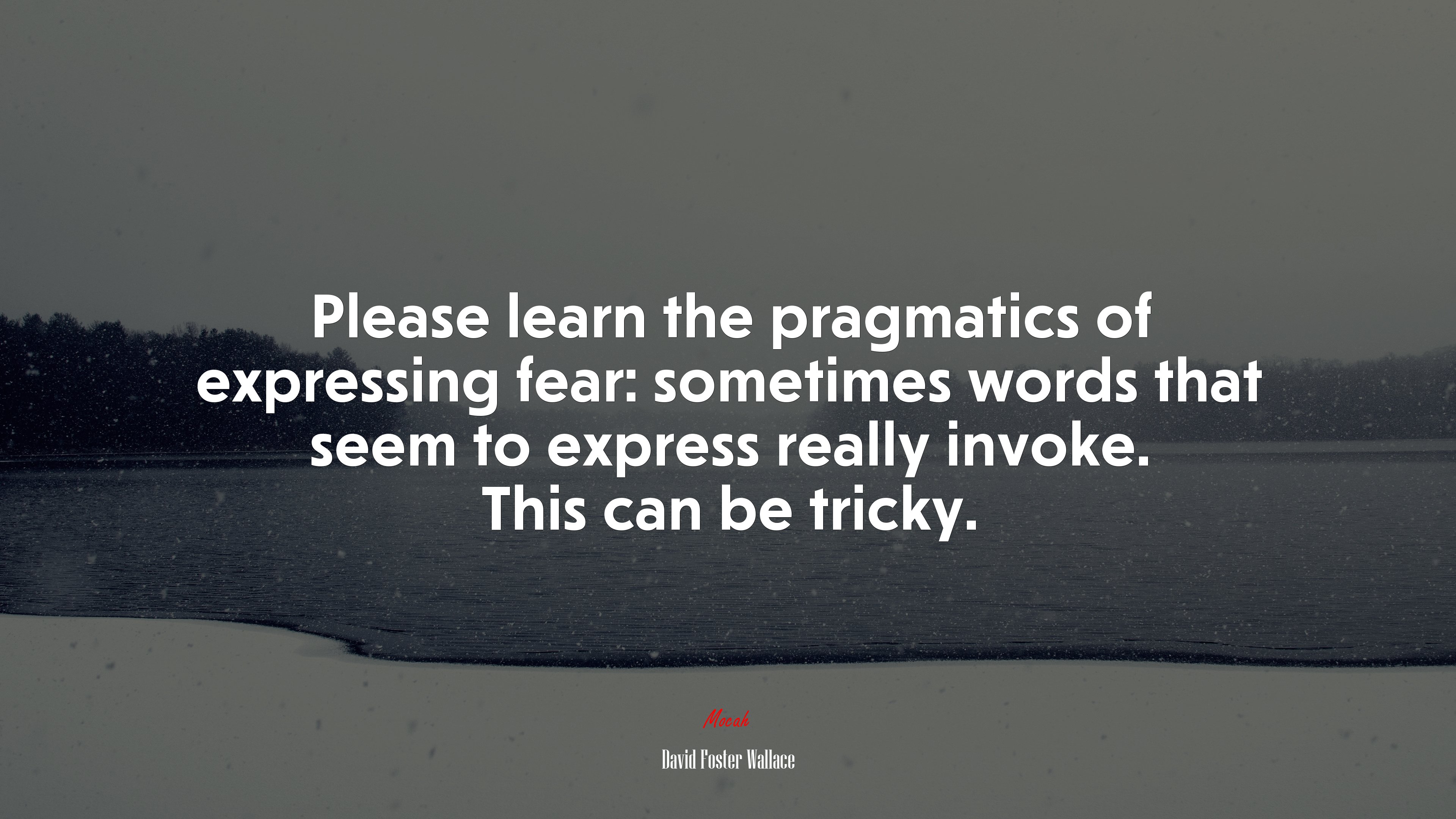 Please learn the pragmatics of expressing fear: sometimes words that seem to express really invoke. This can be tricky. | David Foster Wallace quote HD Wallpaper