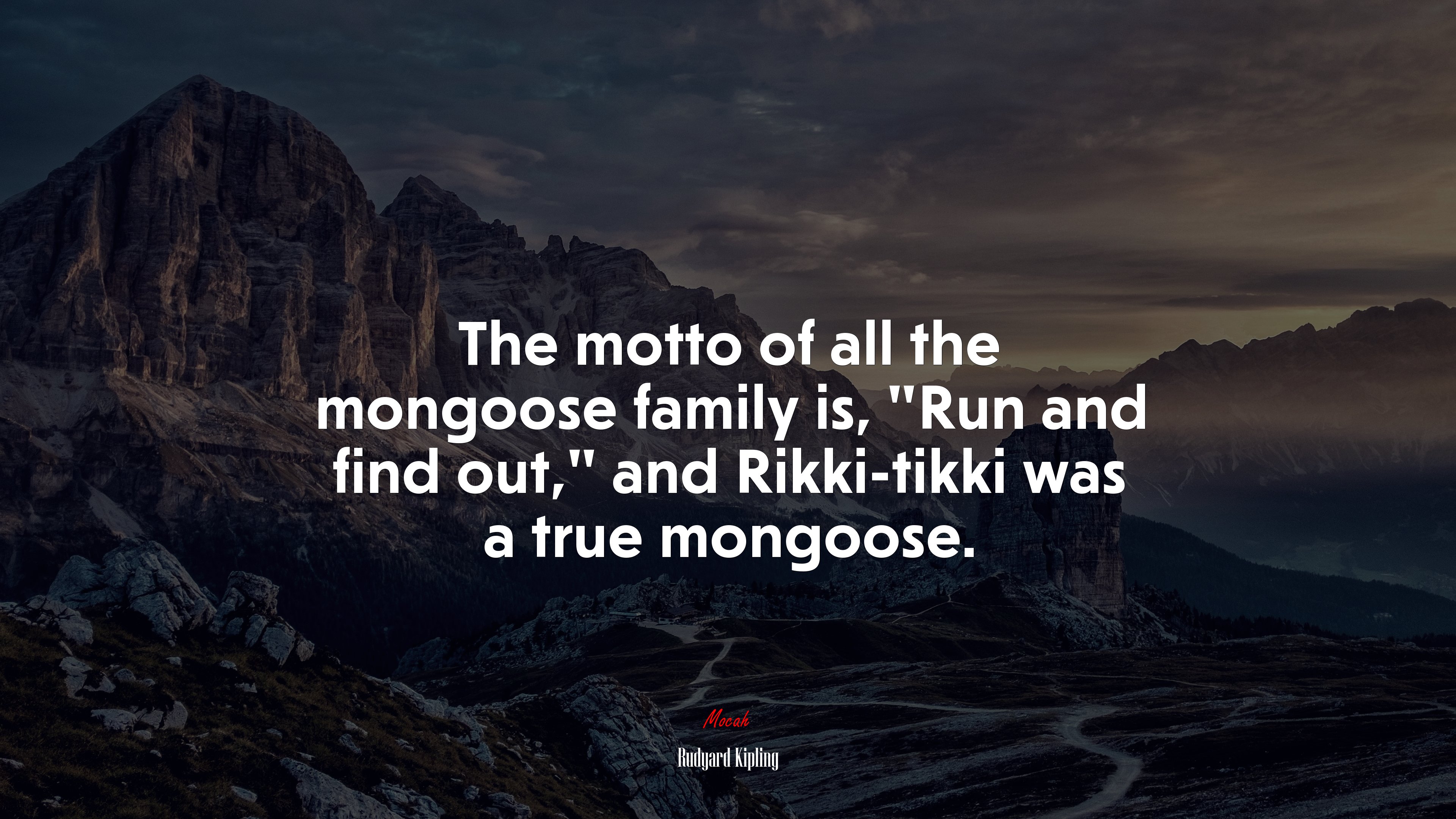 The motto of all the mongoose family is, “Run and find out,” and Rikki-tikki was a true mongoose. | Rudyard Kipling quote HD Wallpaper