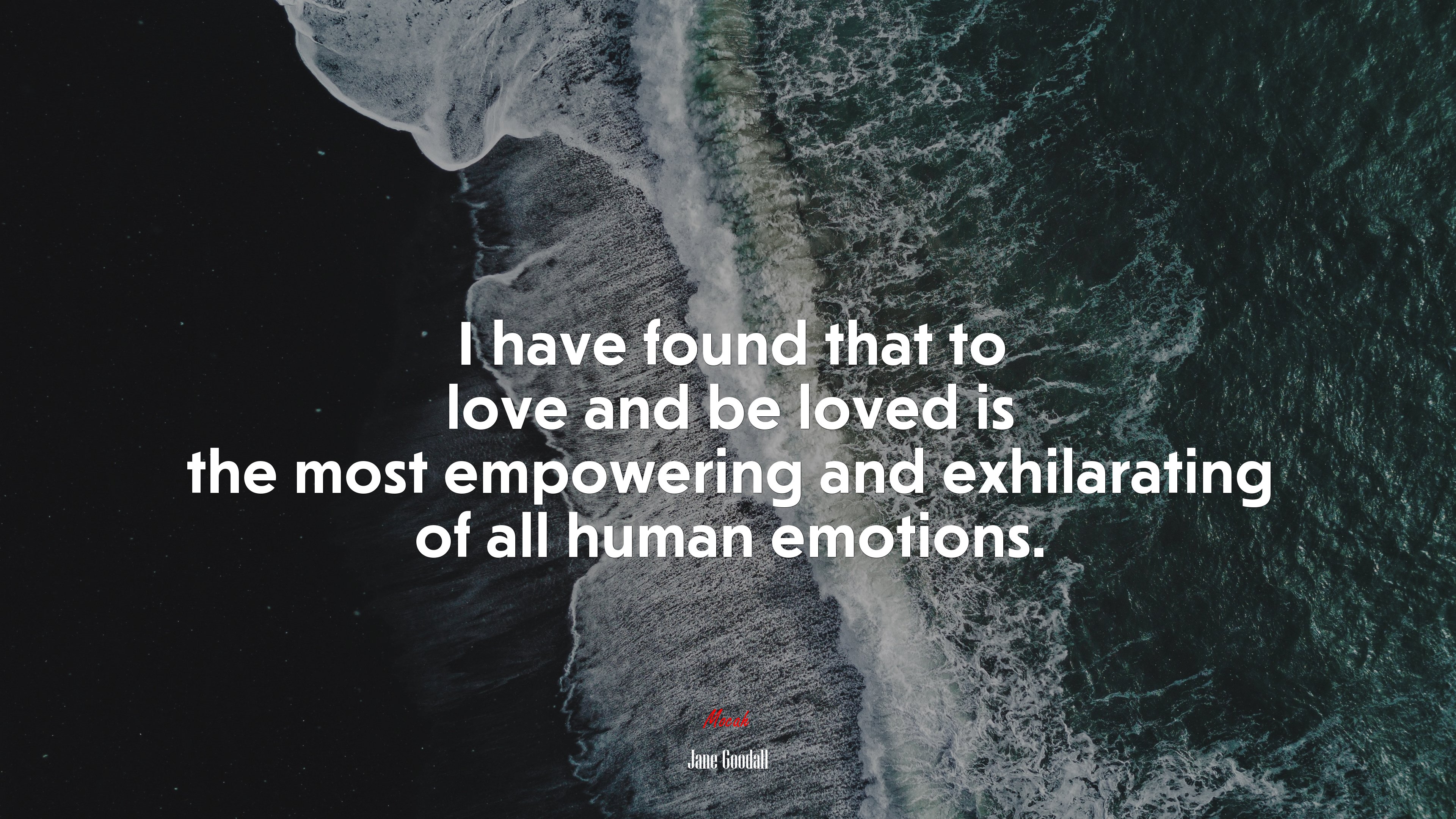 I have found that to love and be loved is the most empowering and exhilarating of all human emotions. | Jane Goodall quote HD Wallpaper