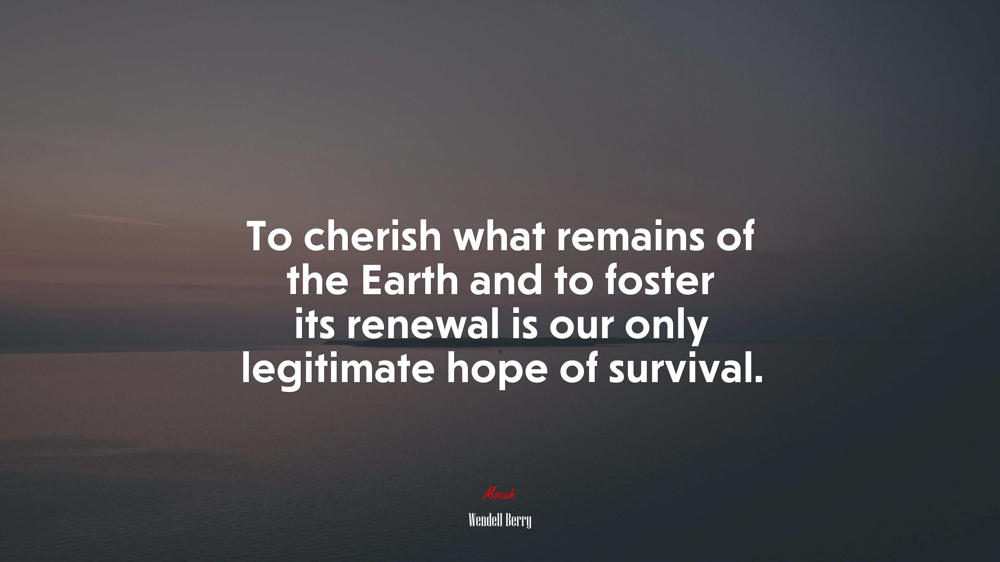 To cherish what remains of the Earth and to foster its renewal is our only legitimate hope of survival. | Wendell Berry quote HD Wallpaper