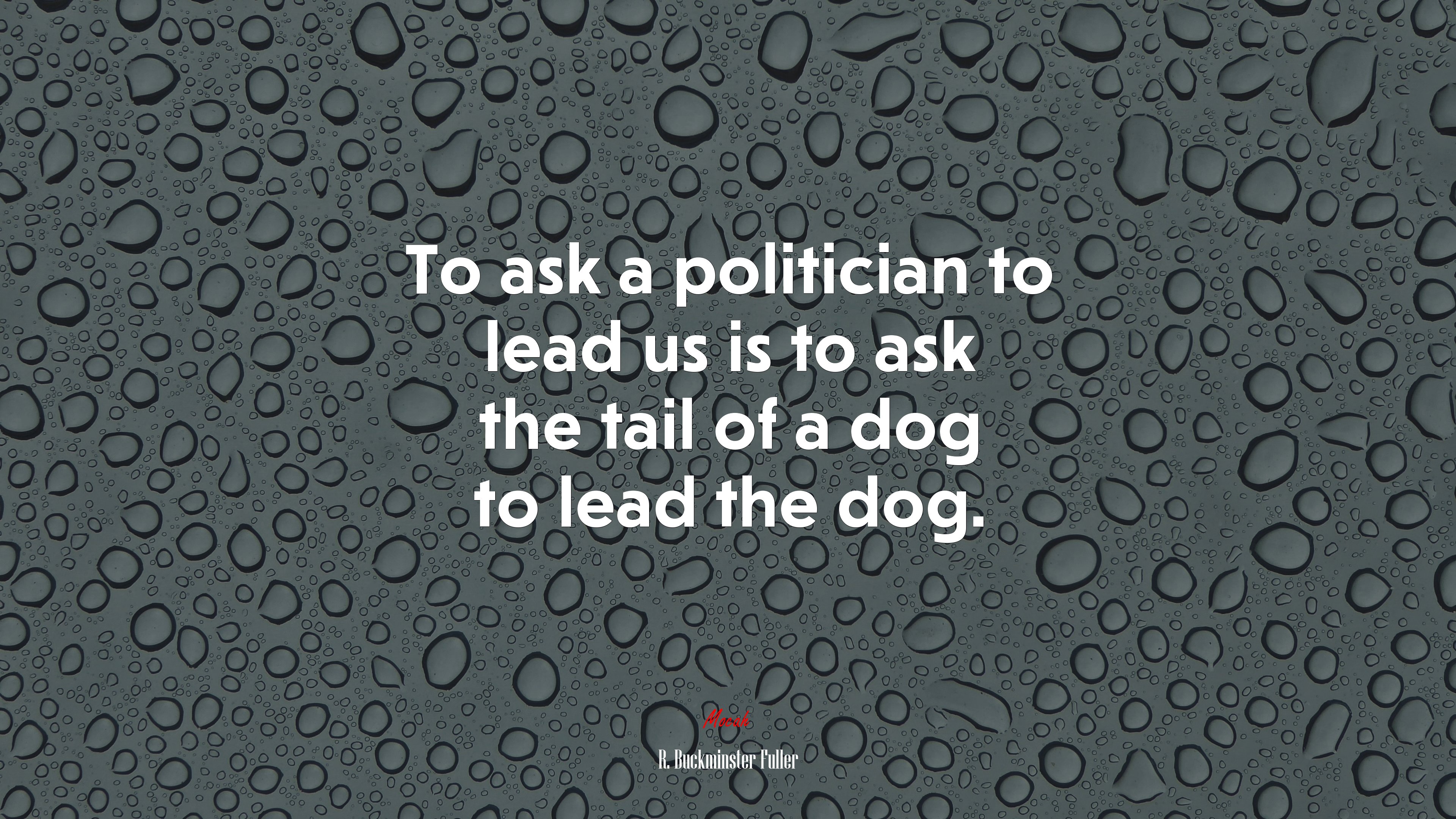 To ask a politician to lead us is to ask the tail of a dog to lead the dog. | R. Buckminster Fuller quote HD Wallpaper