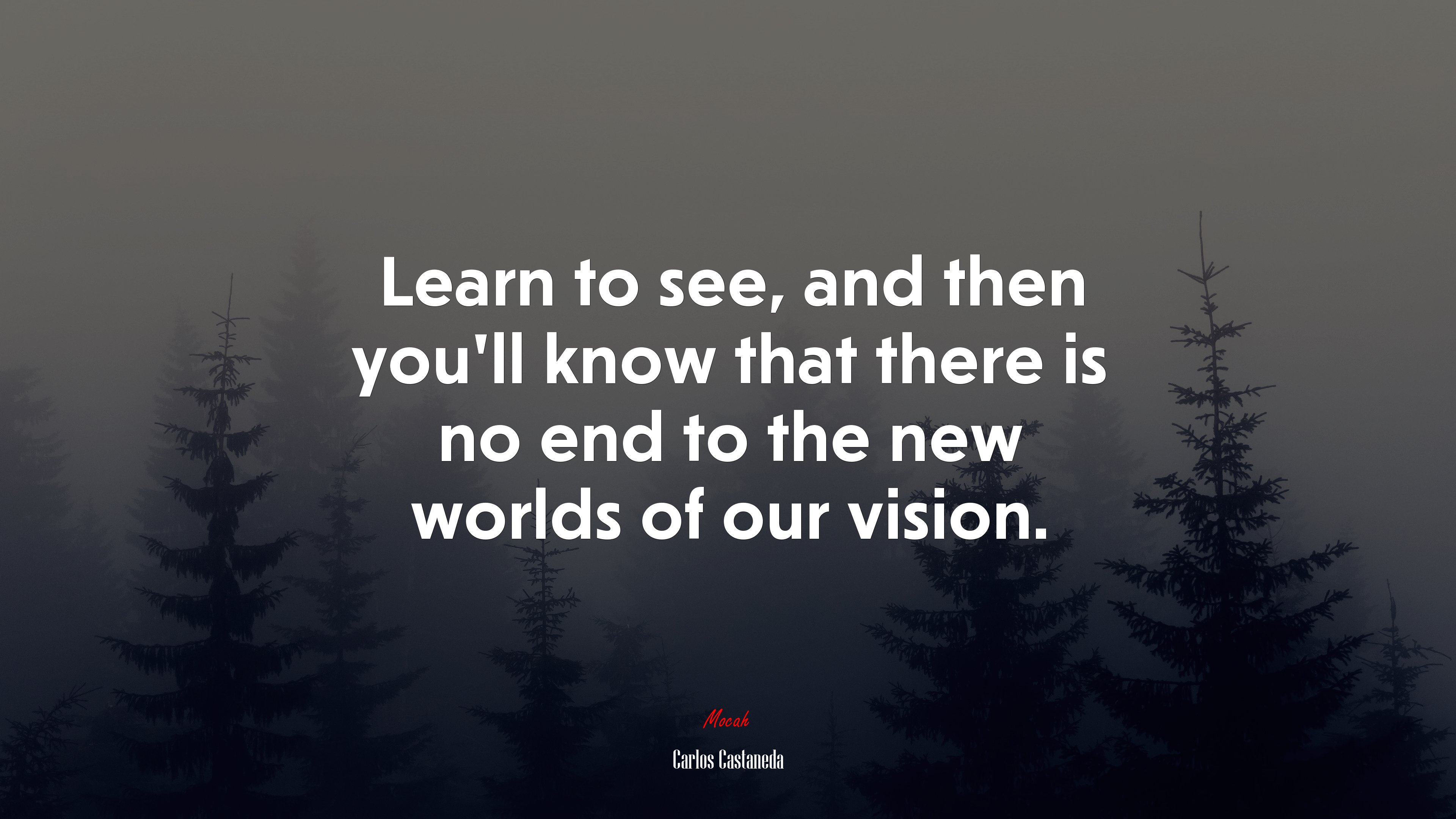 Learn to see, and then you’ll know that there is no end to the new worlds of our vision. | Carlos Castaneda quote HD Wallpaper