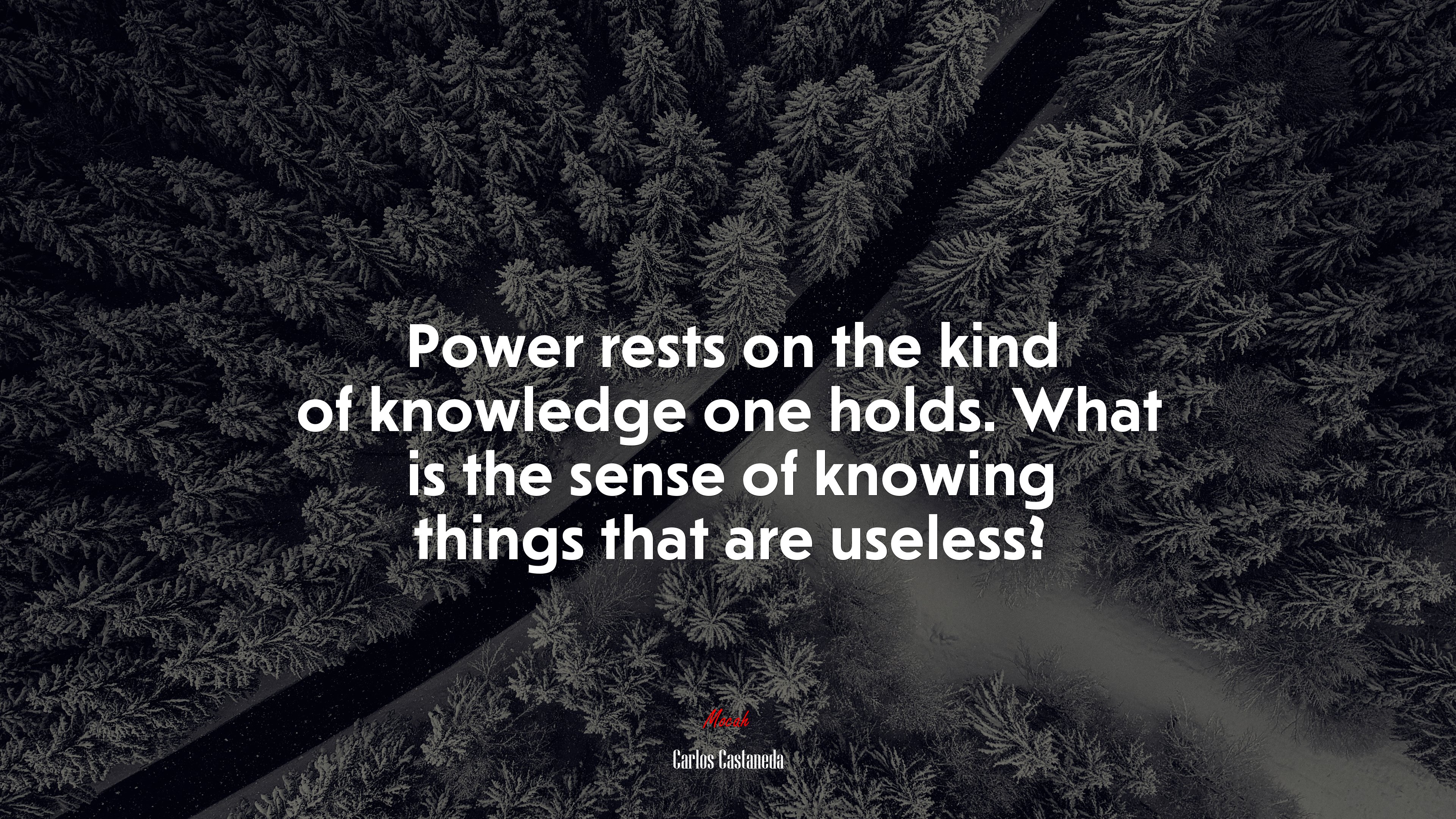 Power rests on the kind of knowledge one holds. What is the sense of knowing things that are useless? | Carlos Castaneda quote HD Wallpaper