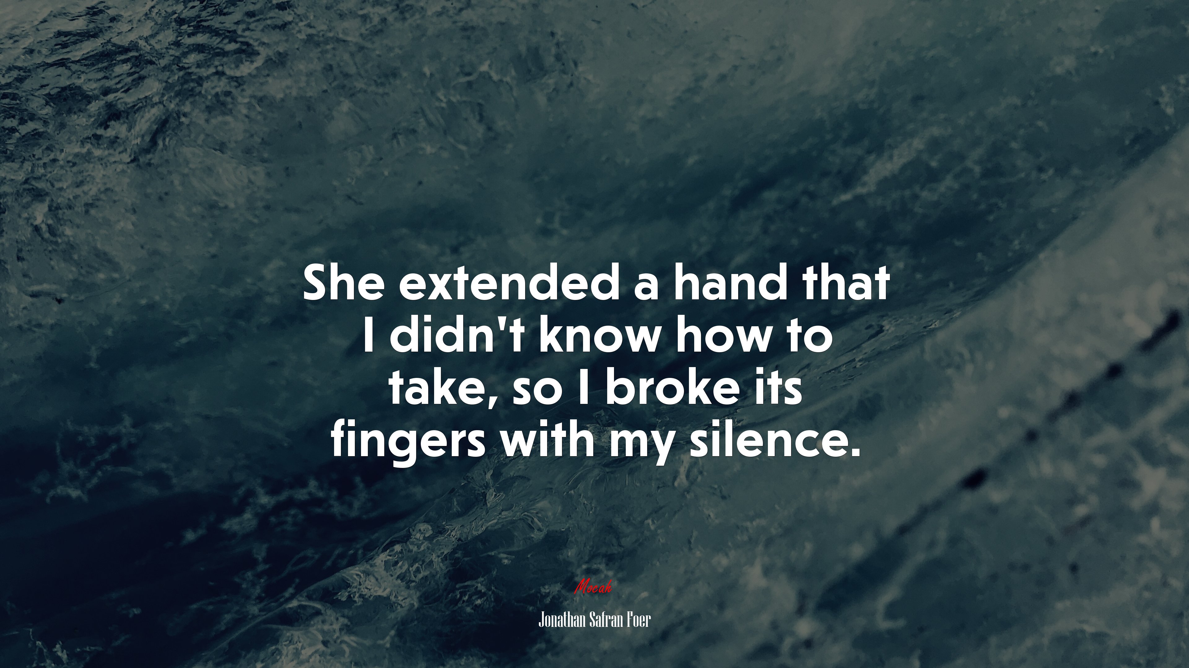 She extended a hand that I didn’t know how to take, so I broke its fingers with my silence. | Jonathan Safran Foer quote HD Wallpaper