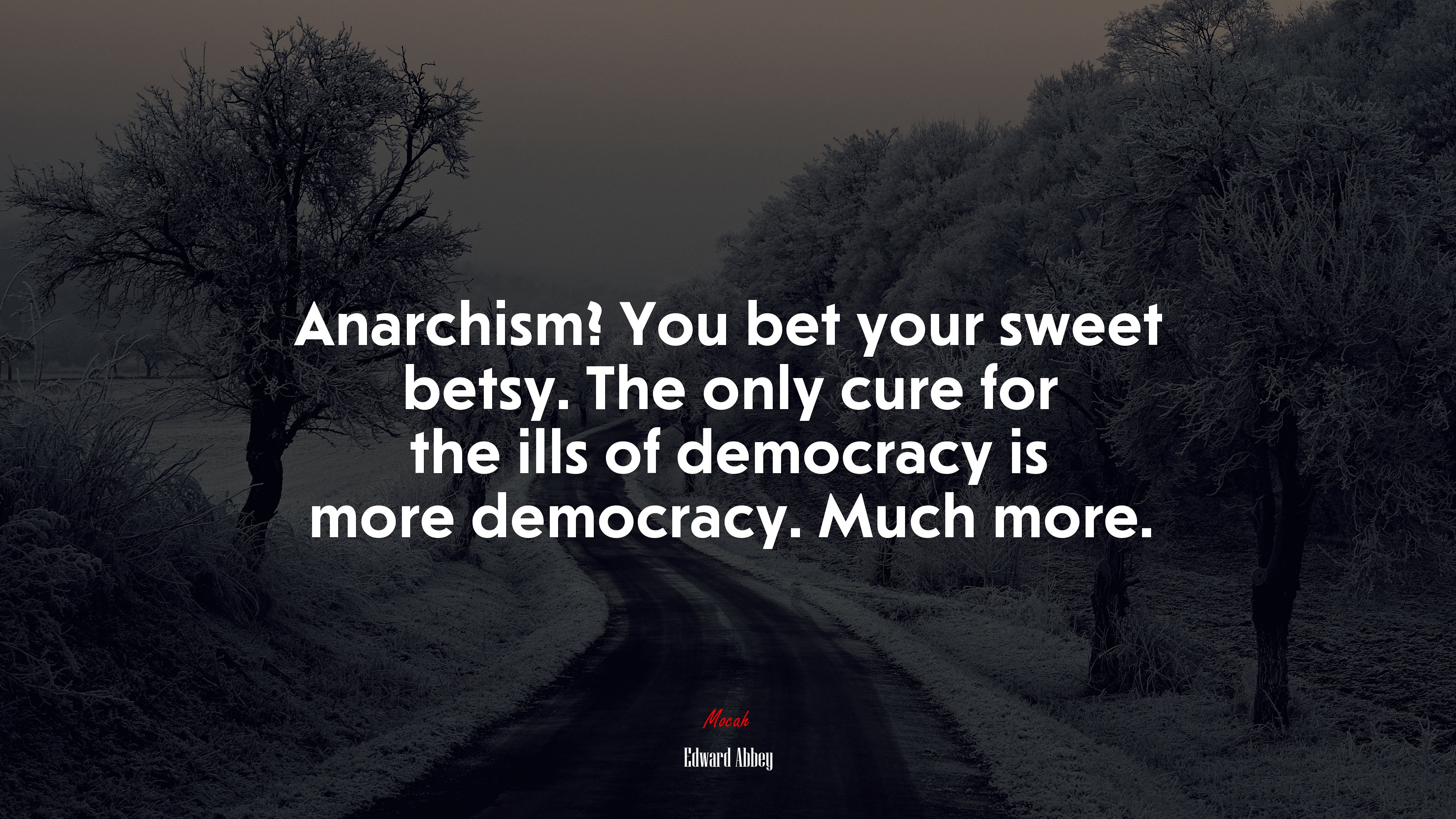 Anarchism? You bet your sweet betsy. The only cure for the ills of democracy is more democracy. Much more. | Edward Abbey quote HD Wallpaper