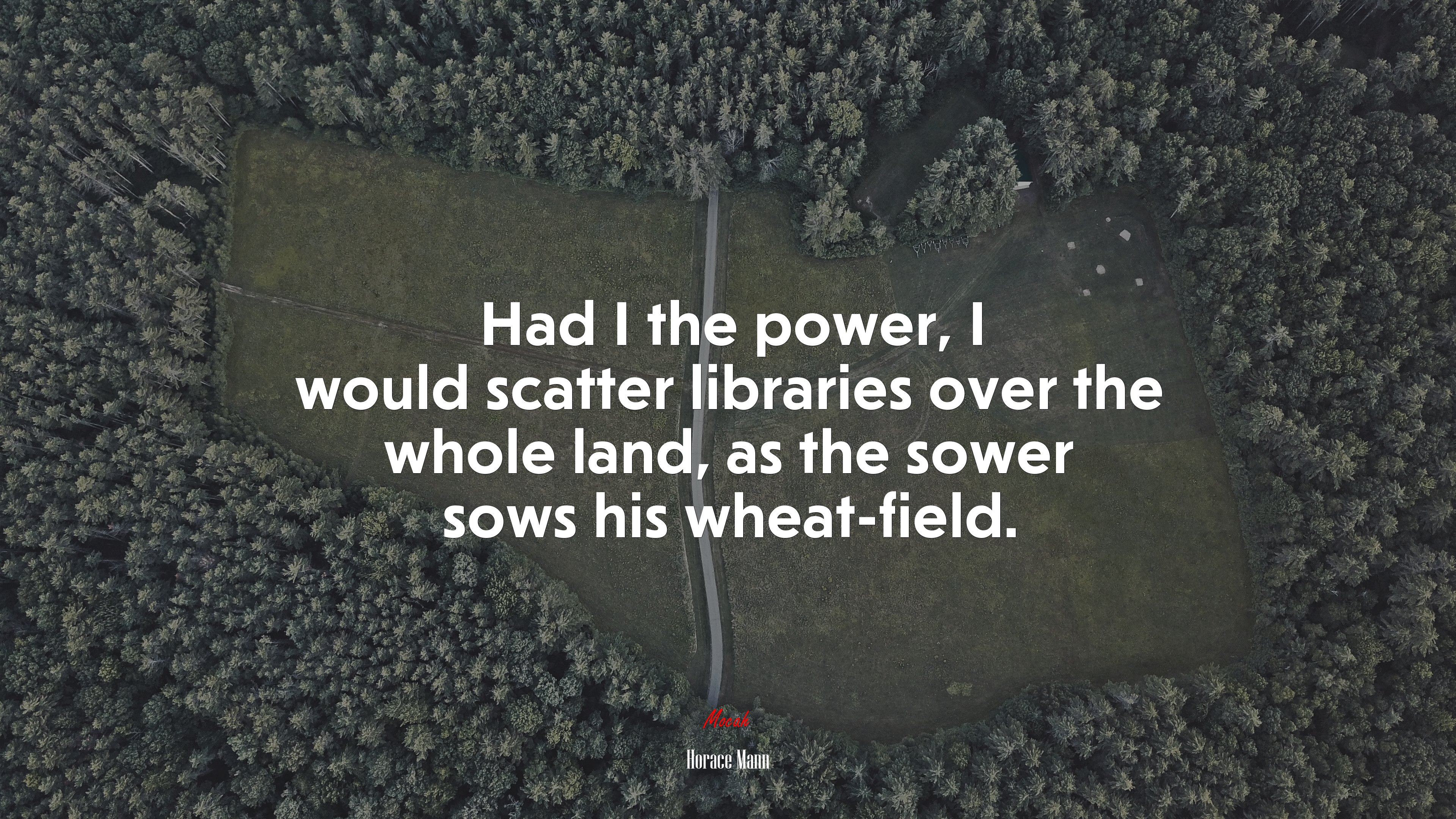 Had I the power, I would scatter libraries over the whole land, as the sower sows his wheat-field. | Horace Mann quote HD Wallpaper