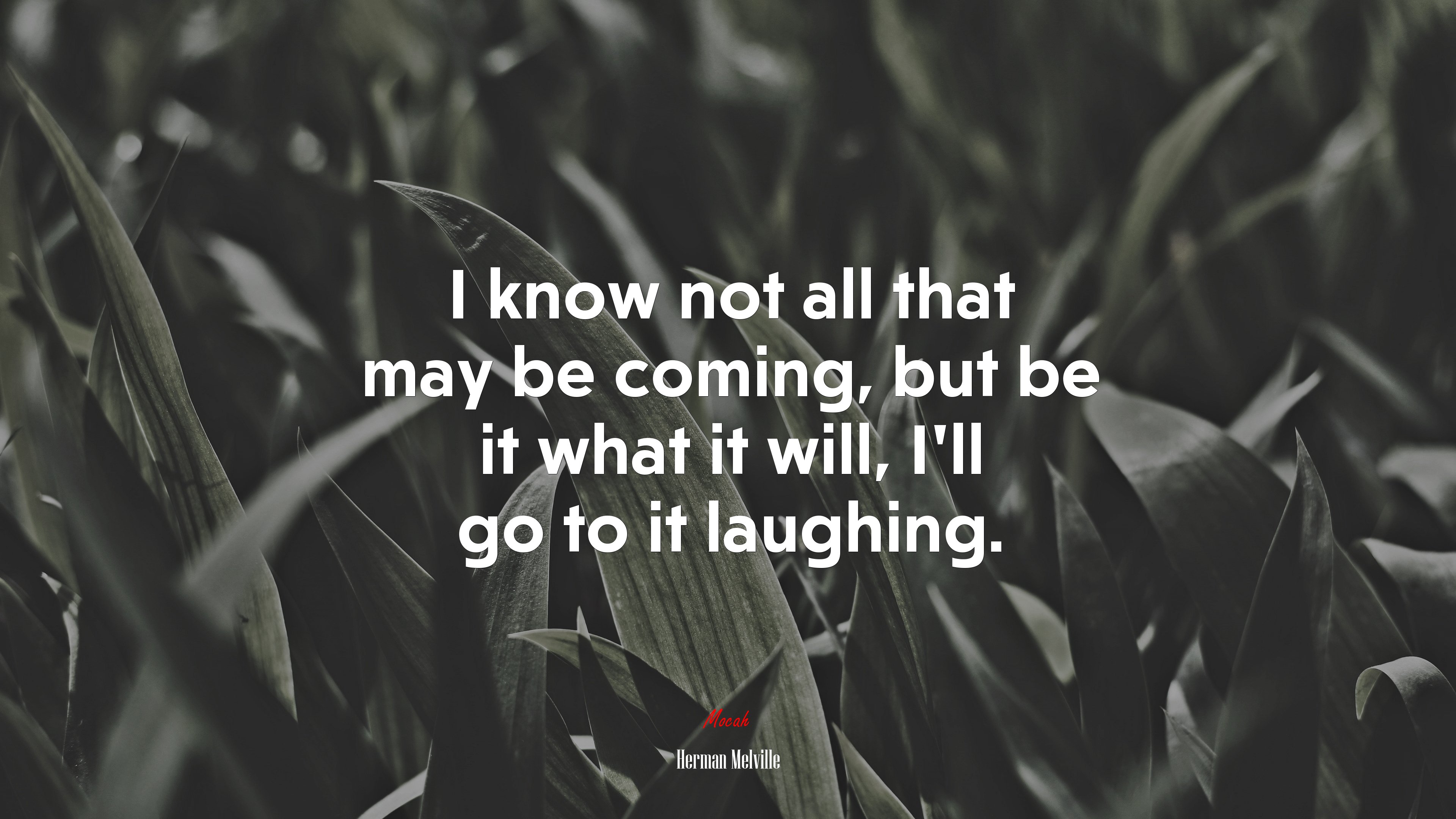 I know not all that may be coming, but be it what it will, I’ll go to it laughing. | Herman Melville quote HD Wallpaper